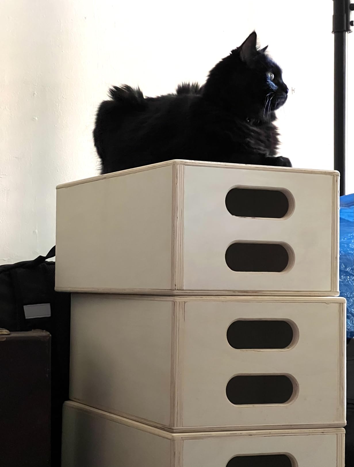 Apple Box Full (6 Pack) customer photo 1