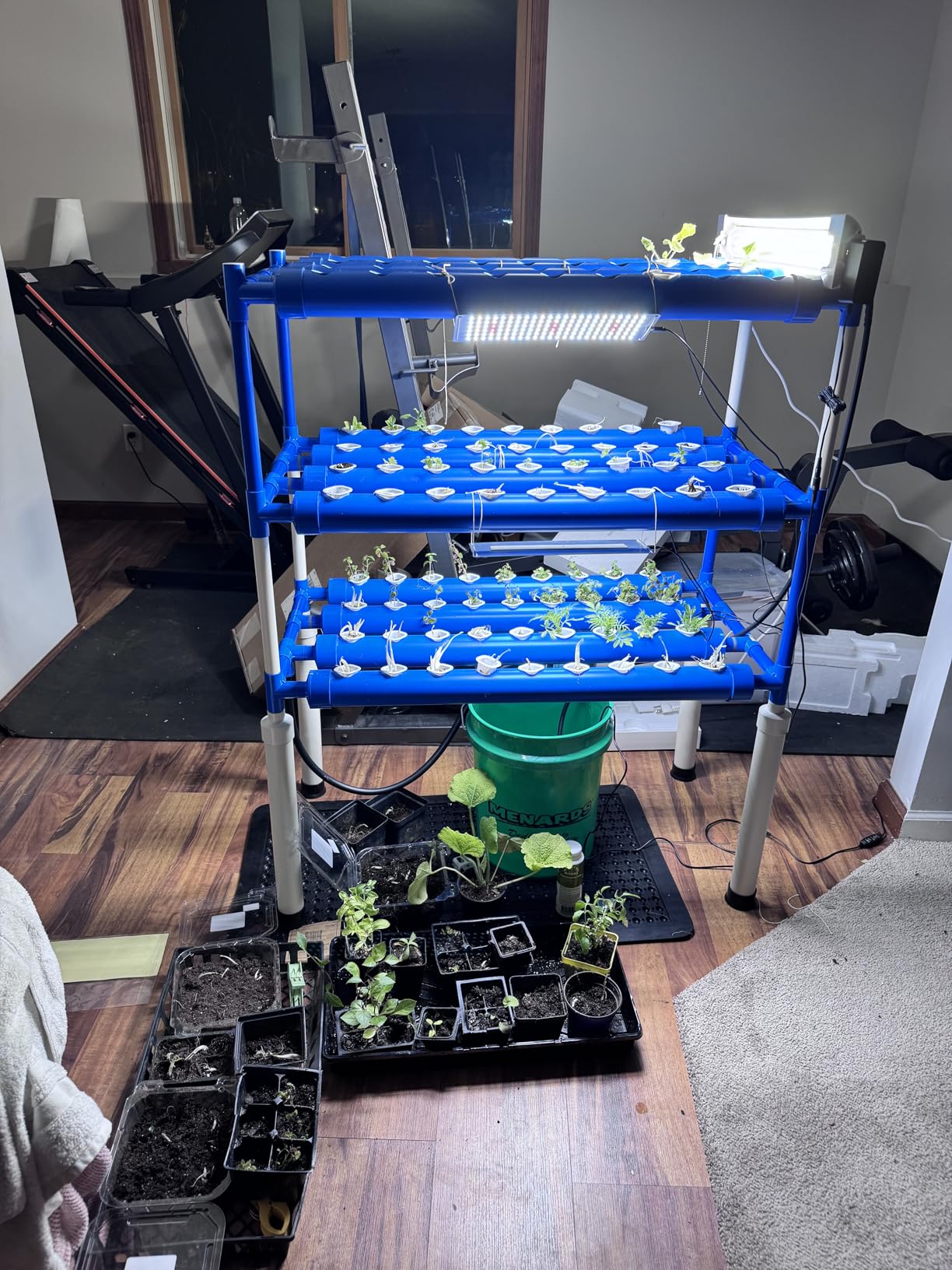 Hydroponics Growing System Kit for Vegetables, Flowers Fruits and Herbs, with 108 Plant Sites, Suitable for Indoor and Outdoor (Upgraded Version) customer photo 1
