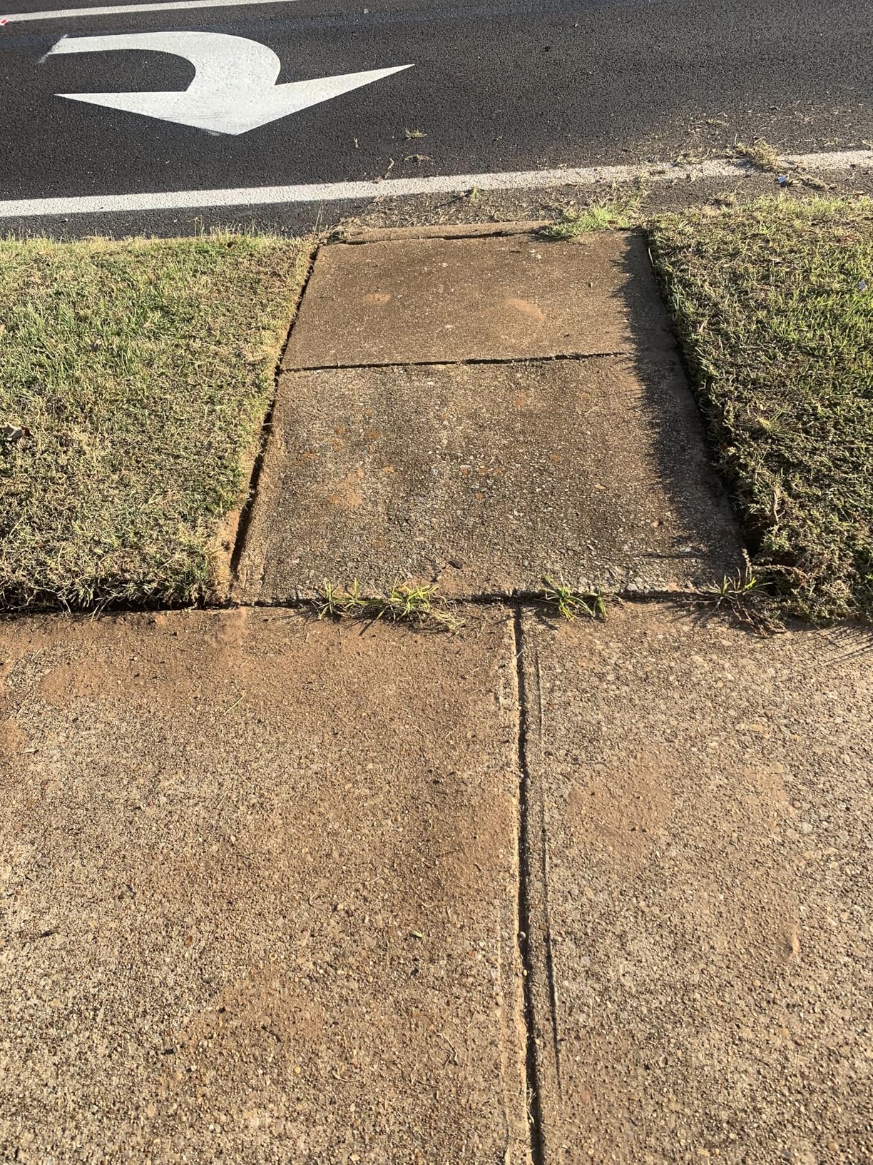 WORX Cordless Lawn Edger, 7'' Grass Edger with 3 Depth Settings, 20V Trencher with Dual Wheels & Brushless Motor, 4.0 Ah Battery & Charger Included, WG898 customer photo 2