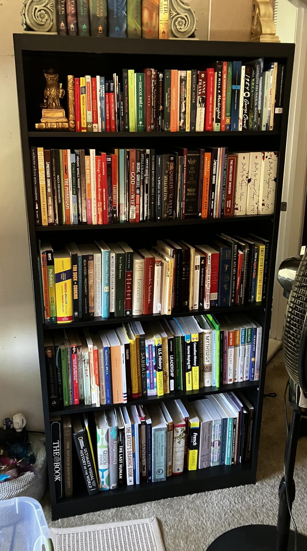 Large Metal Bookcase, 69