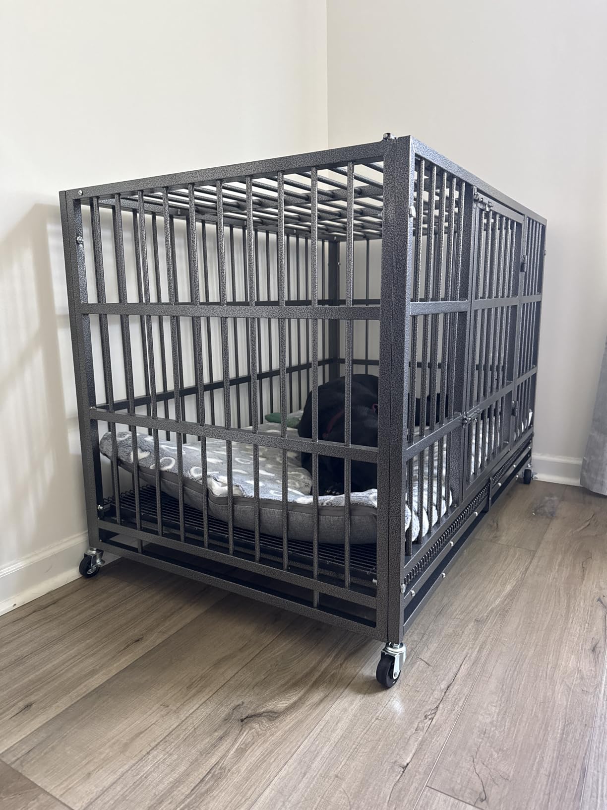 BOLDBONE 54 inch Heavy Duty Indestructible and Escape-Proof Dog Crate Cage Kennel for Large Dogs, High Anxiety Dog Crate with Removable Wire Trays and Wheels, Extra Large XL XXL, Black customer photo 2
