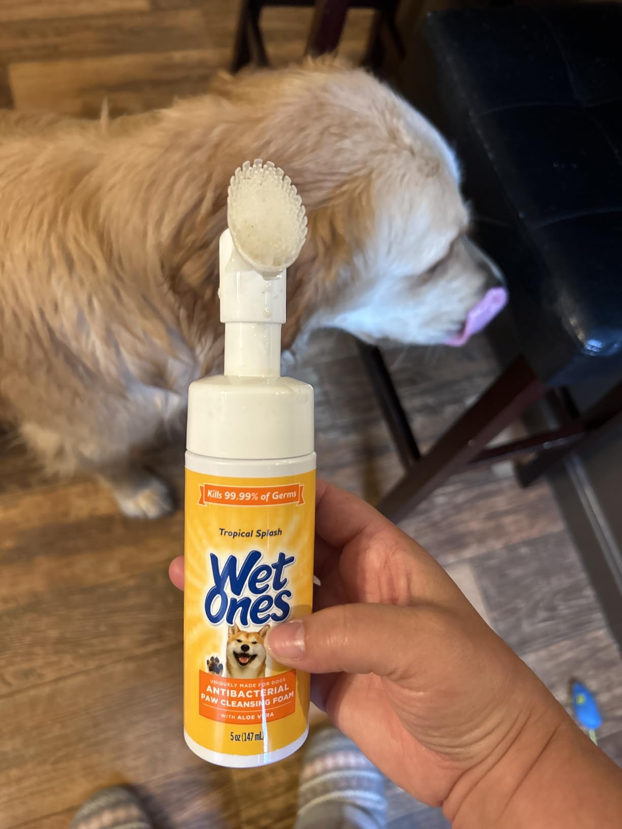 Wet Ones for Pets Antibacterial Dog Paw Cleaner with Built-in Scrubber Brush, Tropical Splash Scent - Foaming Cleanser for Dog Paws - Paw Washer & Grooming Care, 5 Ounce customer photo 1