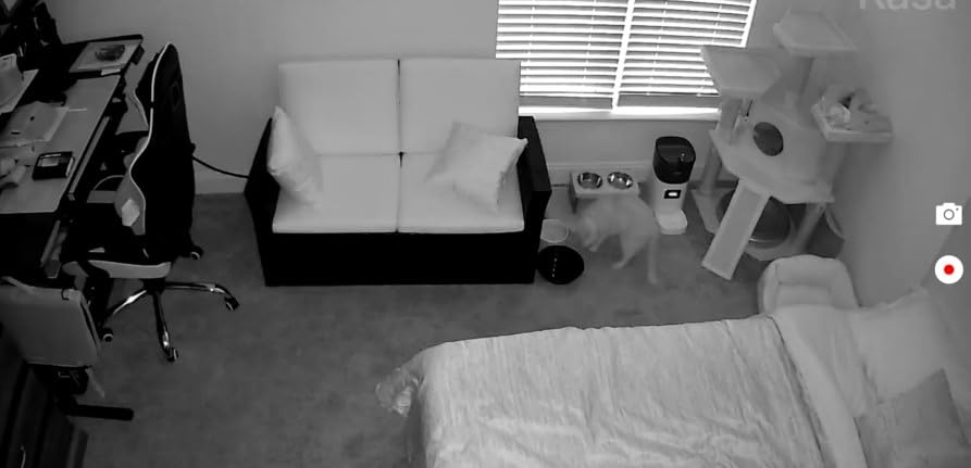 wansview 5MP UHD Pet Camera with Phone app, 5Ghz&2.4Ghz Dual Wi-Fi Security Camera Indoor for Monitoring Home/Baby/Cat/Dog, 2 Way Audio, 24/7 TF Card Storage(TF Card Not Included), Q5 (White) customer photo 2