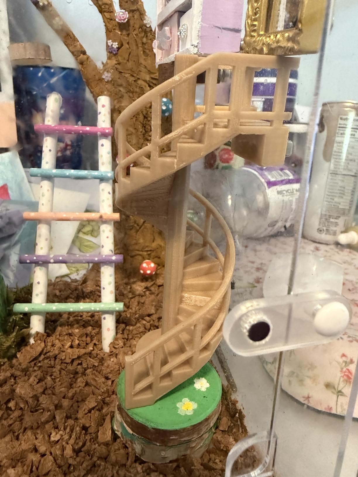 Acrylic Jumping Spider Habitat, Insect Terrarium, Bug Enclosure, Praying Mantis Habitat, Frog Enclosure customer photo 1