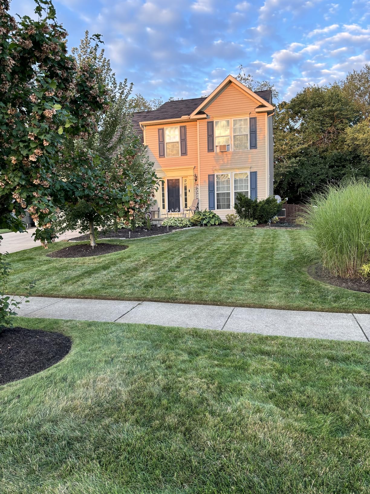 Lawn Striping System - UNIVERSAL FIT - Works with Most 20