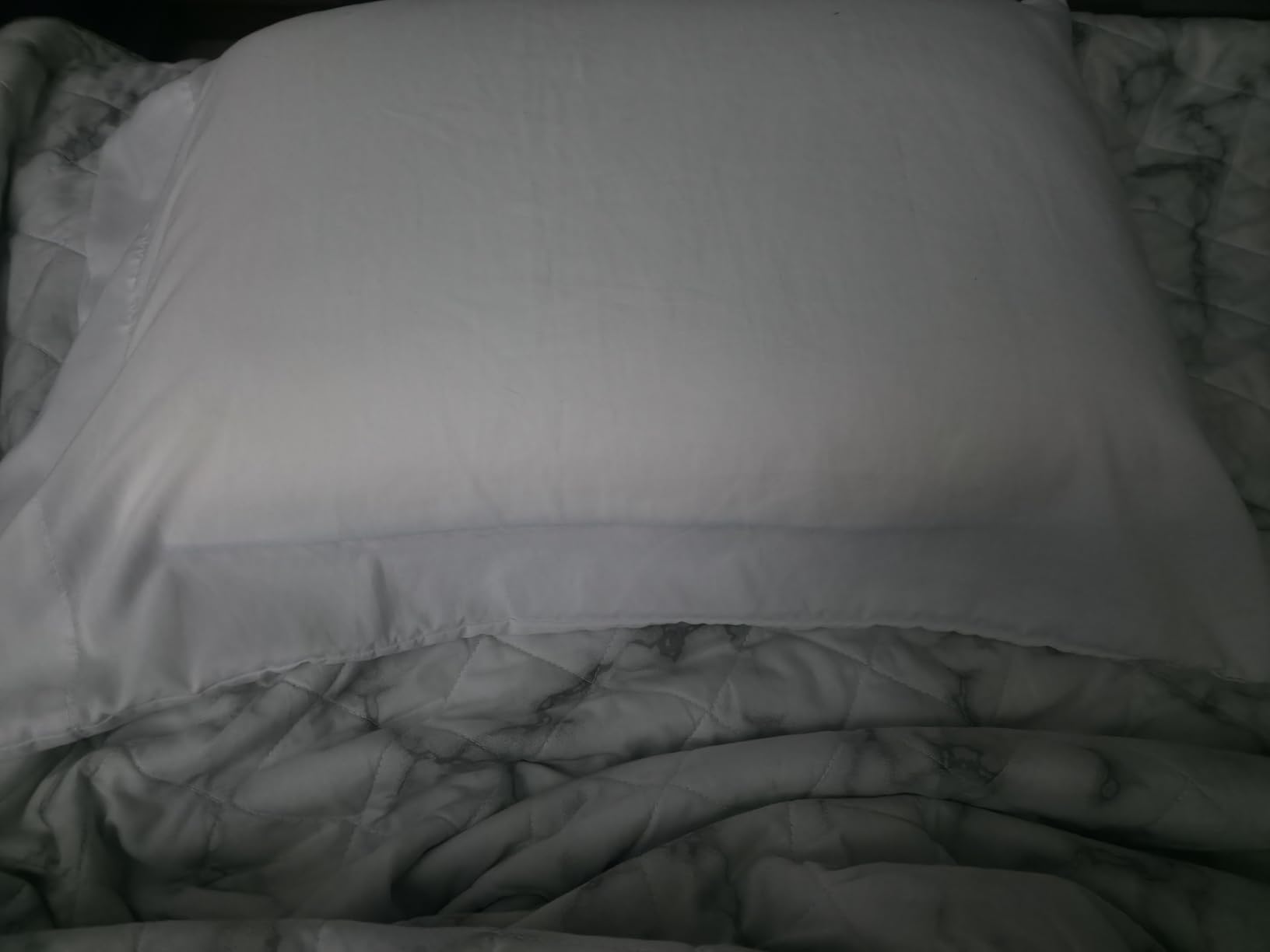 Sealy Dreamlife Queen Size Memory Foam Cooling Pillow with Surface Guard Technology 2 Pack customer photo 2