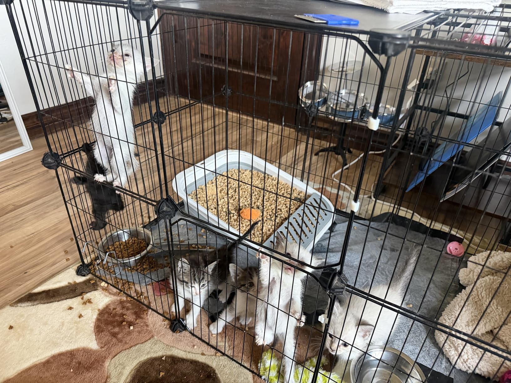 VISCOO 41 Panels Pet Playpen, 35.4