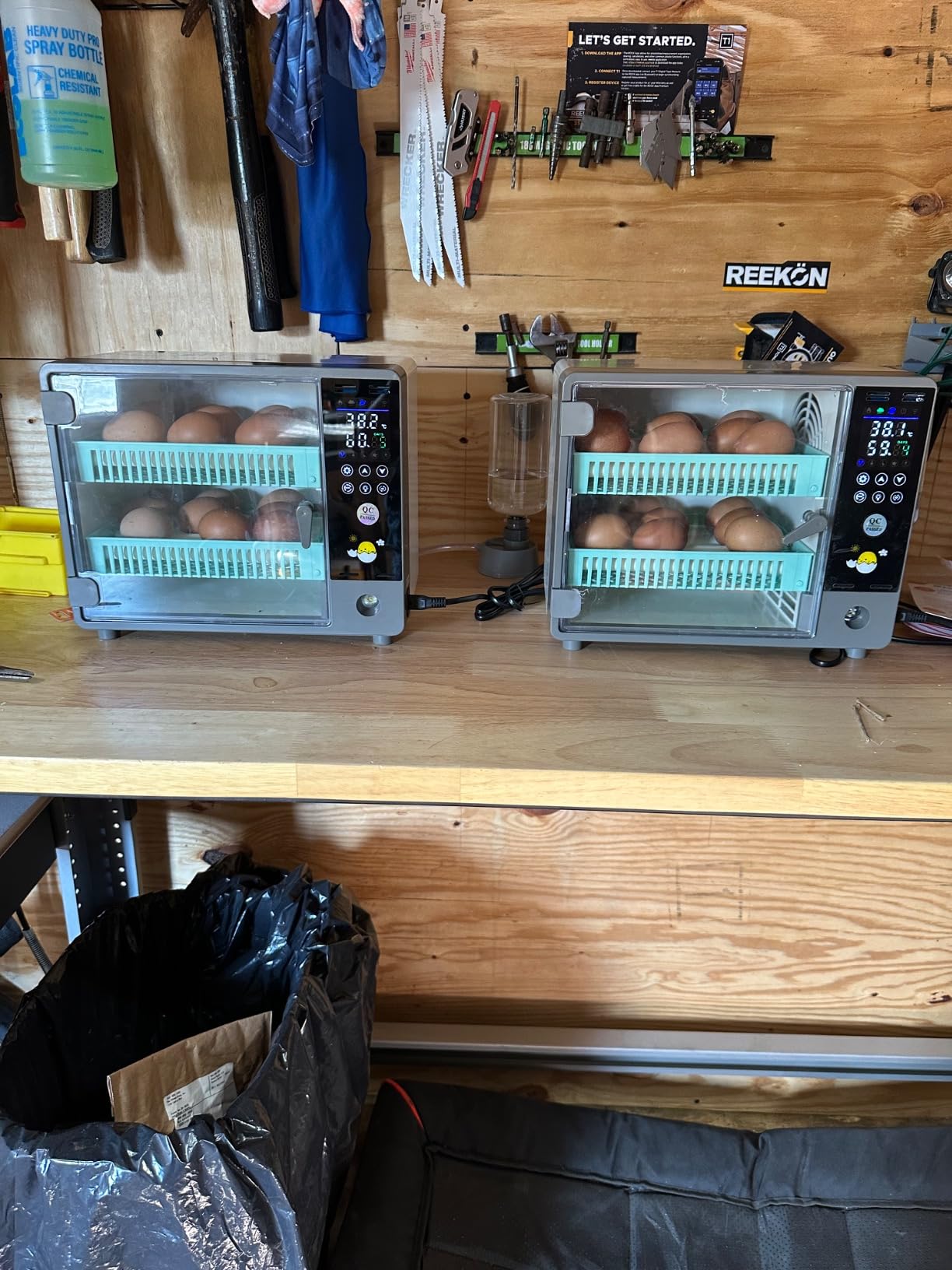 Incubators for Hatching Eggs, 24 Egg Incubator, Automatic Turning with Temperature & Humidity Control, Temp Display, for Chicken Duck Quail Goose Pigeon customer photo 4