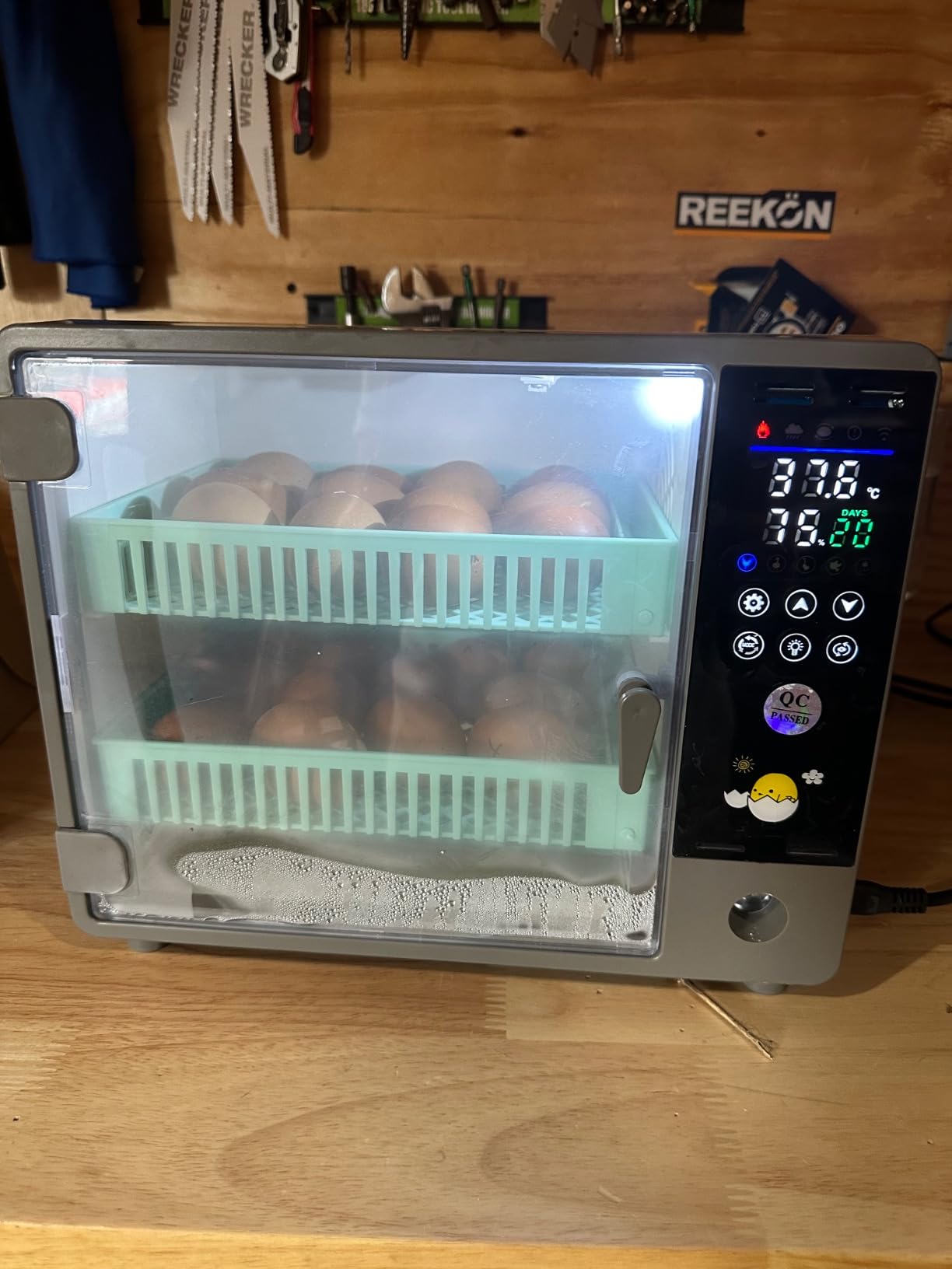 Incubators for Hatching Eggs, 24 Egg Incubator, Automatic Turning with Temperature & Humidity Control, Temp Display, for Chicken Duck Quail Goose Pigeon customer photo 5