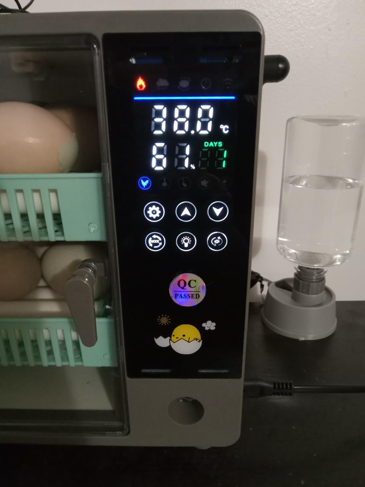 Incubators for Hatching Eggs, 24 Egg Incubator, Automatic Turning with Temperature & Humidity Control, Temp Display, for Chicken Duck Quail Goose Pigeon customer photo 6