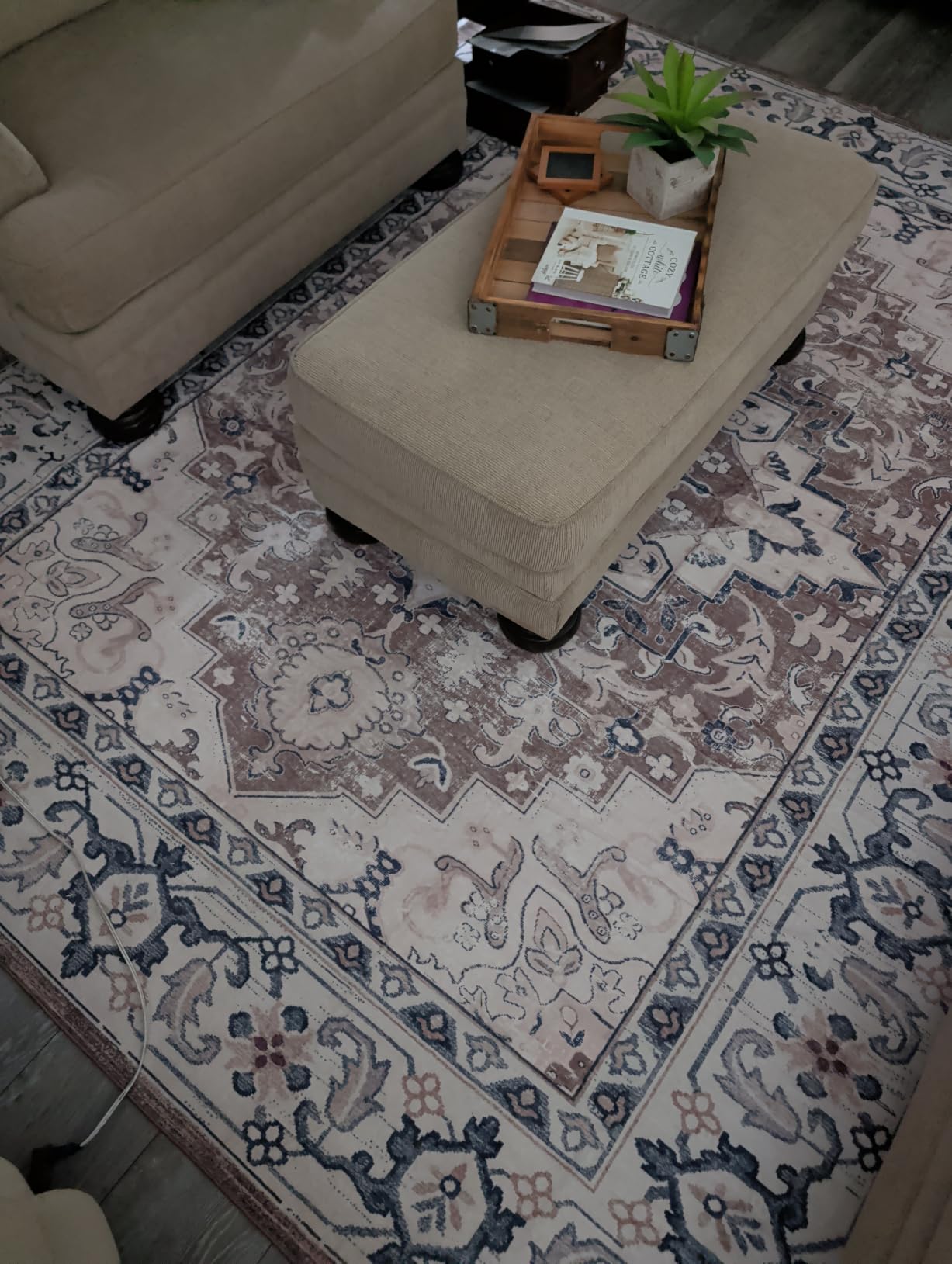 Lofus 8x10 Area Rugs for Living Room, Washable Area Rug, Rugs for Bedroom, Kitchen, Vintage Boho Carpet, Soft Non-Slip, Low Pile Large Area Rug for Office Dining Room, Floral Brown customer photo 1