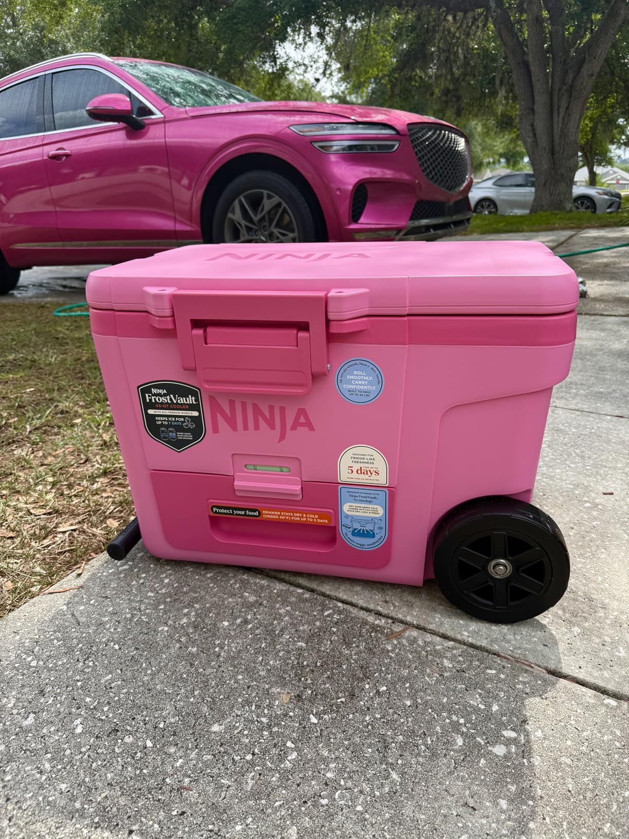 Ninja FrostVault 65QT Insulated Cooler with Temp Dry Storage Drawer customer photo 1
