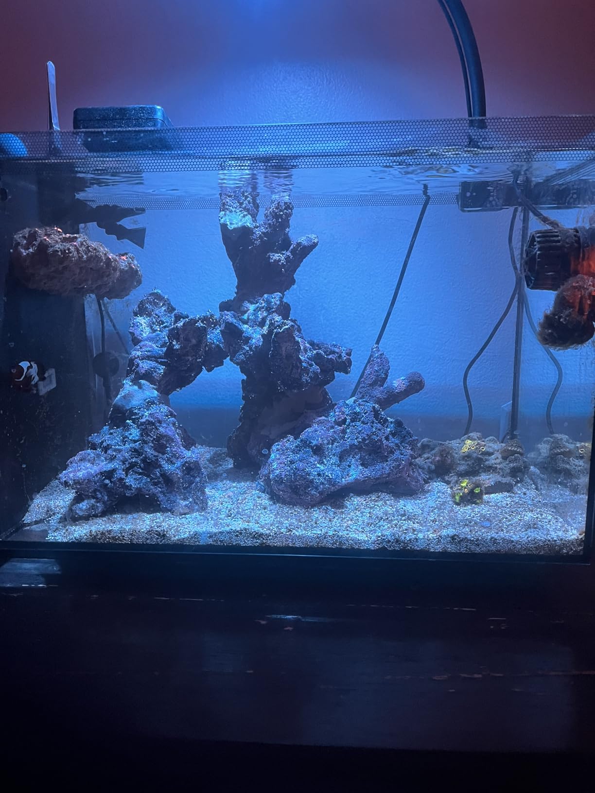 CaribSea LifeRock Dreamscapes Kit - Aquascaping Rock Set for 5-15 Gallon Tanks, Natural Look & Porous Structure for Marine Aquariums customer photo 2