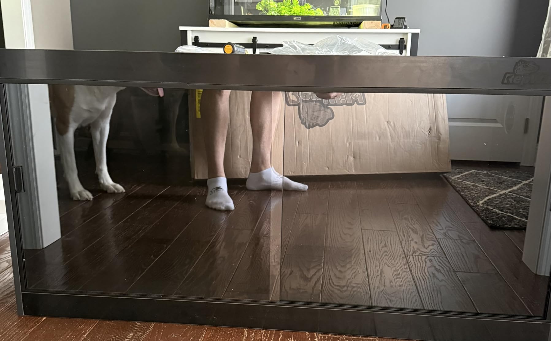 4x2x2 (120 Gallon) PVC Reptile Enclosure, RepWild Terrarium/Tank with Heavy-Duty Screen Top, Glass Sliding Doors & Lock for Bearded Dragons, Ball Python, Geckos, Lizards customer photo 1