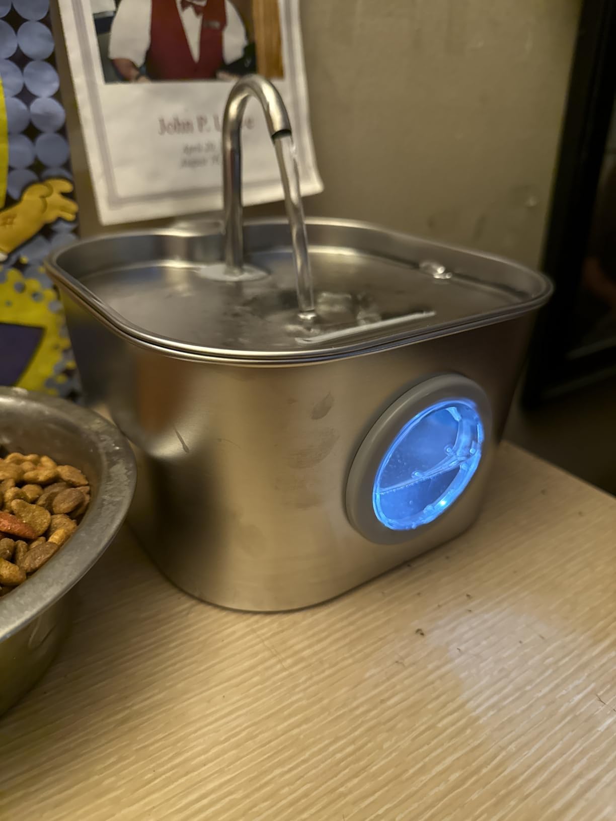 Cat Water Fountain Stainless Steel: Pet Fountains for Cats/Dog Indoor Automatic Waterer Bowls for Drinking Small Animal Water Dispenser Metal Pets Watering Faucet Bottle Auto Kitty Watering Supplies customer photo 1
