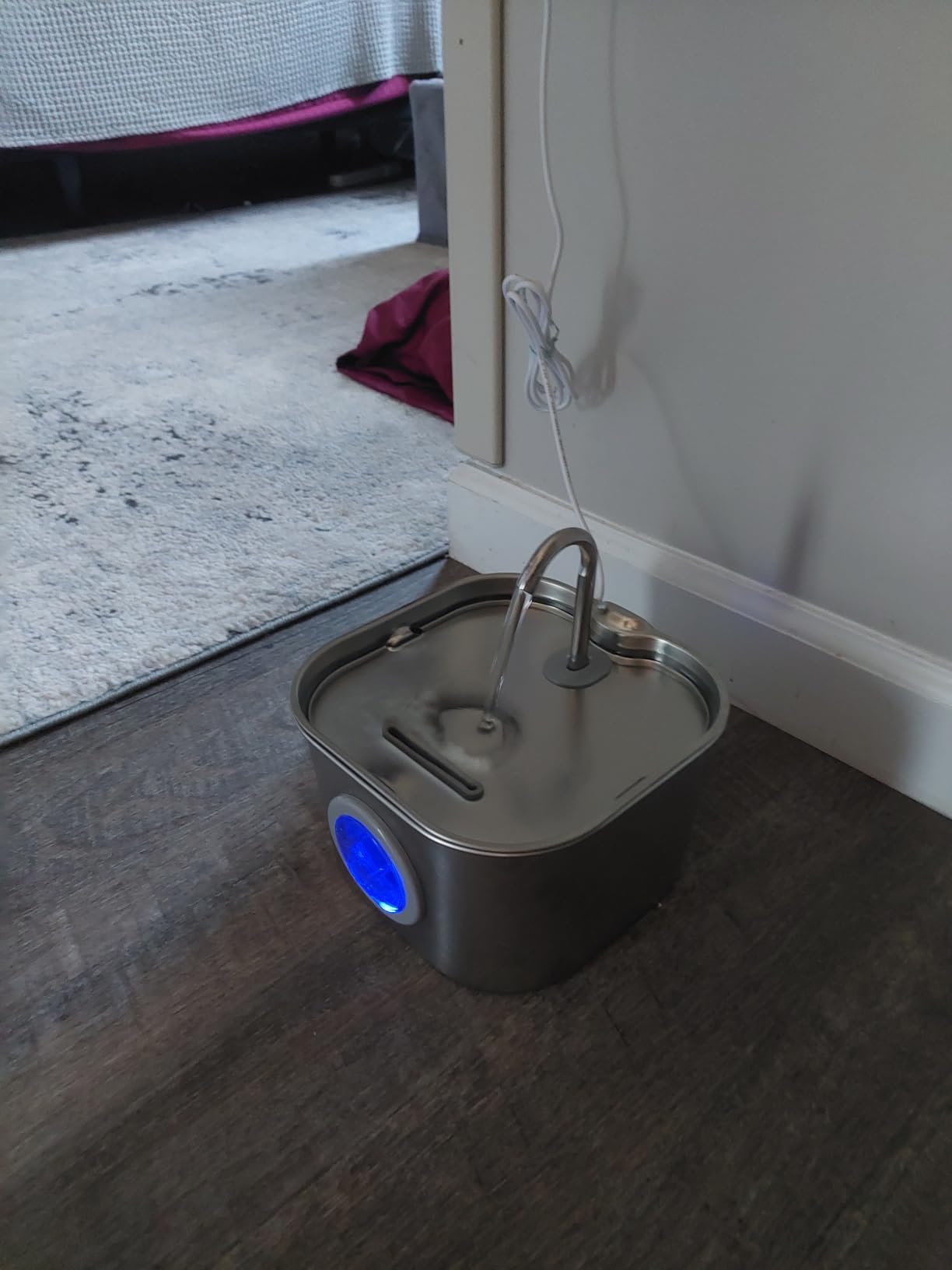 Cat Water Fountain Stainless Steel: Pet Fountains for Cats/Dog Indoor Automatic Waterer Bowls for Drinking Small Animal Water Dispenser Metal Pets Watering Faucet Bottle Auto Kitty Watering Supplies customer photo 2
