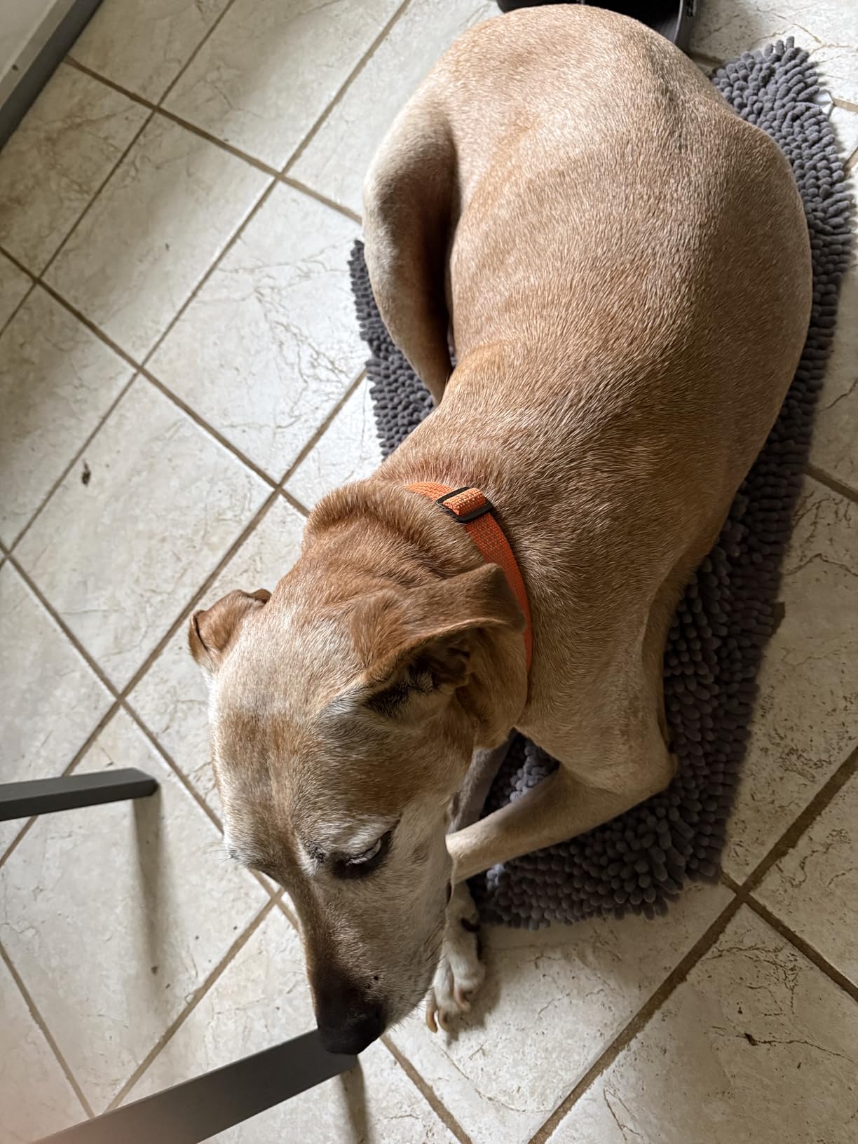 Muddy Mat | Super Absorbent Door Mat Indoor, Microfiber Quick Dry Chenille Entryway Rug, Non-Slip Front Door Mat, Indoor Mats for Entryway, Machine Washable Pet Rug, Grey 24x36 customer photo 2