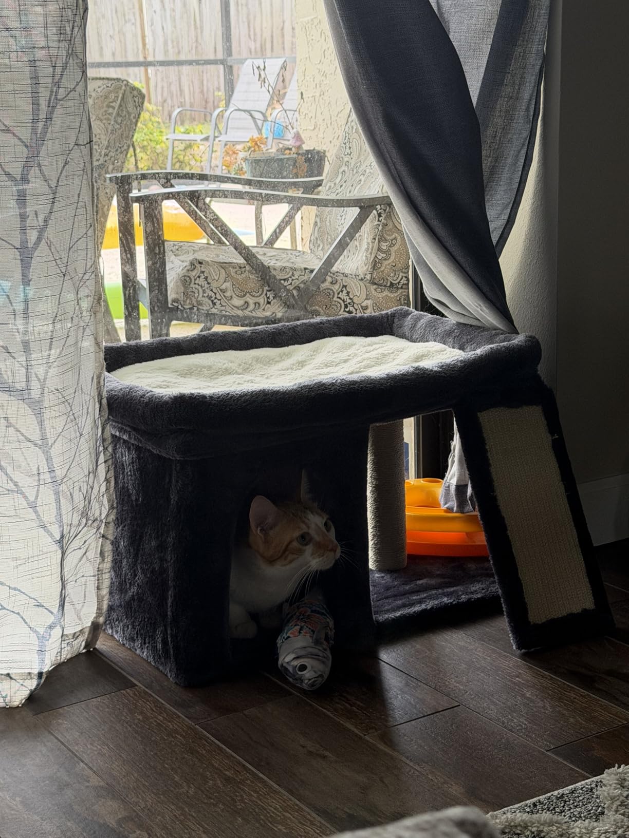 Aechonow XL Cat Tree Tower for Large Adult Cats 20 lbs+, 23x15.7Inch Perch Bed, Condo Cave for Indoor Medium Kittens, Sisal Scratchers, Extra Large customer photo 2
