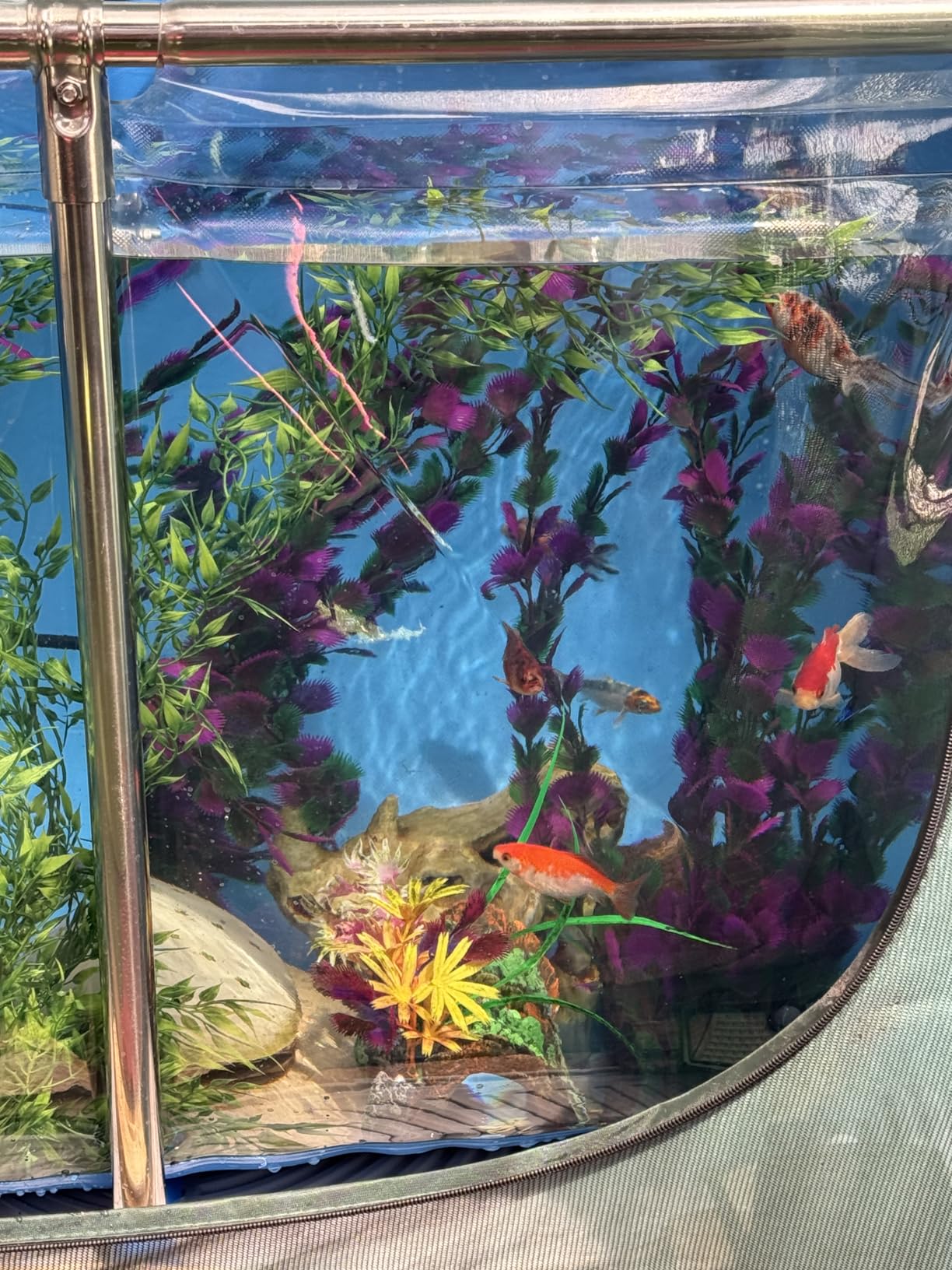 PVC Fish Pond,Above Ground Fish Tank,Goldfish/Koi Pond with Clear Viewing Panel, Outdoor Canvas Aquarium with Stainless Steel Frame & Drain Valve for Outside,47.2 * 31.5 * 23.6in,152 Gallon customer photo 2