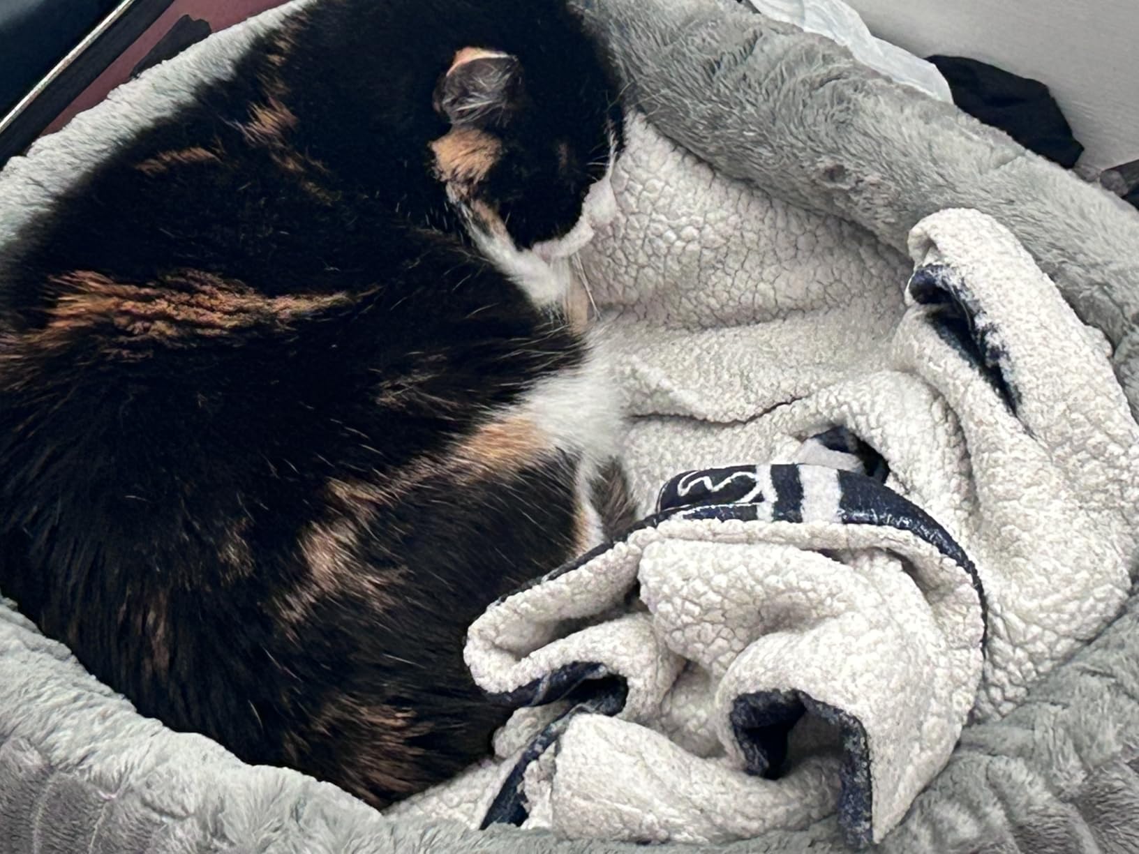 Heated Cat Bed Indoor, 20