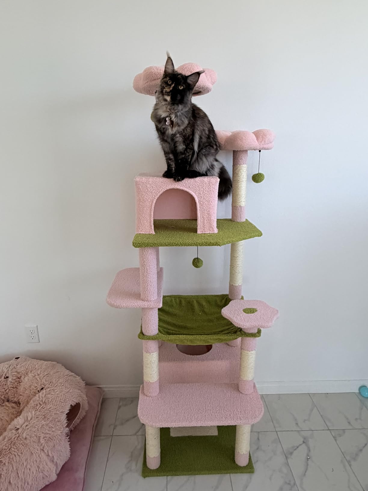 PAWZ Road Heavy Duty Cat Tree for Large Cats, 81 Inches Tall Cat Tower with 2 Perches, 2 Condos and Spacious Hammock, XL Extra Large Condo with 7 Scratching Posts for 20lb+ Adult Cats, Dark Gray customer photo 1