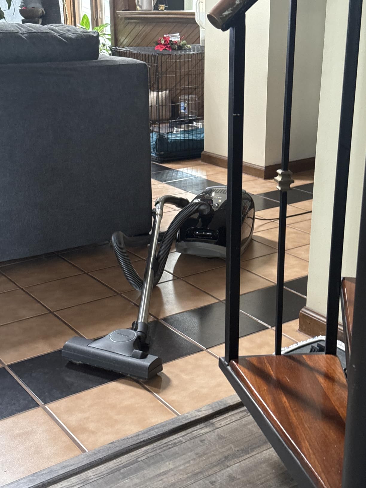NEW Miele Guard M1 Cat & Dog Bagged Canister Vacuum for Pet Owners with Odor-Reducing Active AirClean Filter, TurboTeQ Floorhead, and AllTeQ Universal Floorhead, in Obsidian Black/Space Grey customer photo 1