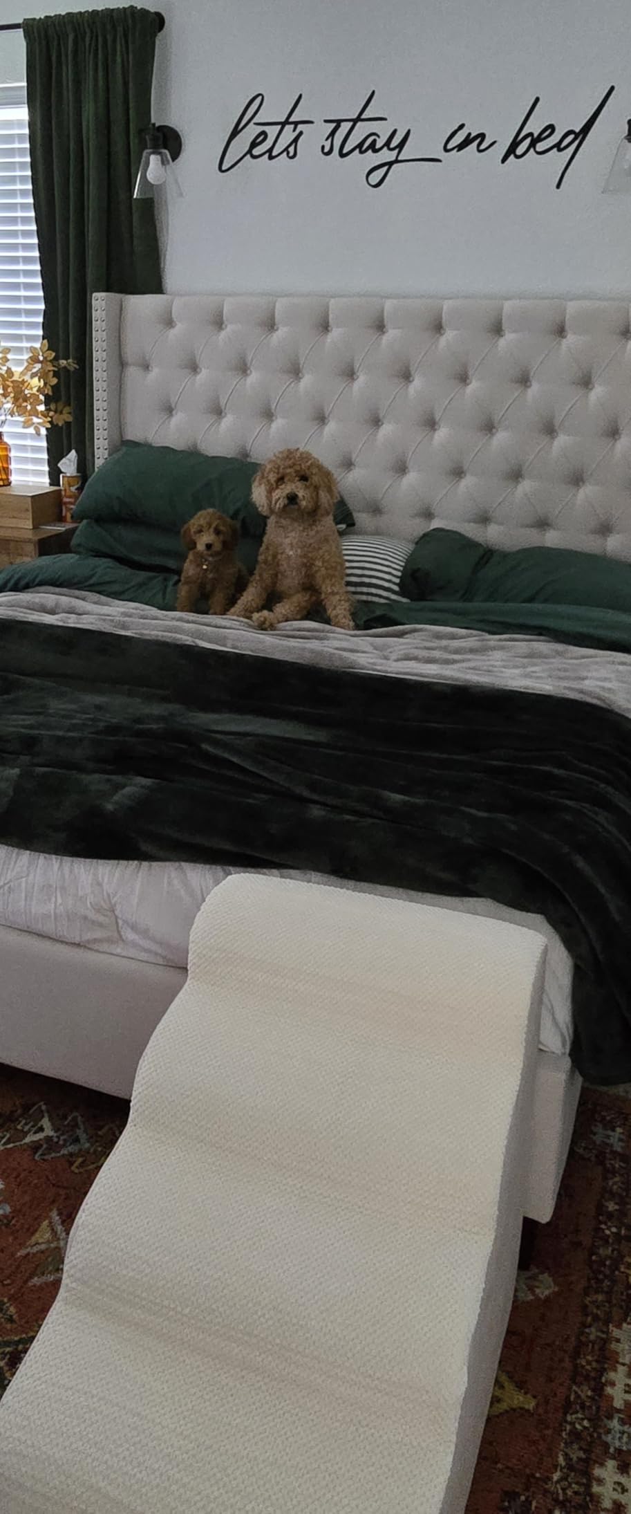 Extra Wide Dog Stairs for Large Dogs Up to 80lbs, 25