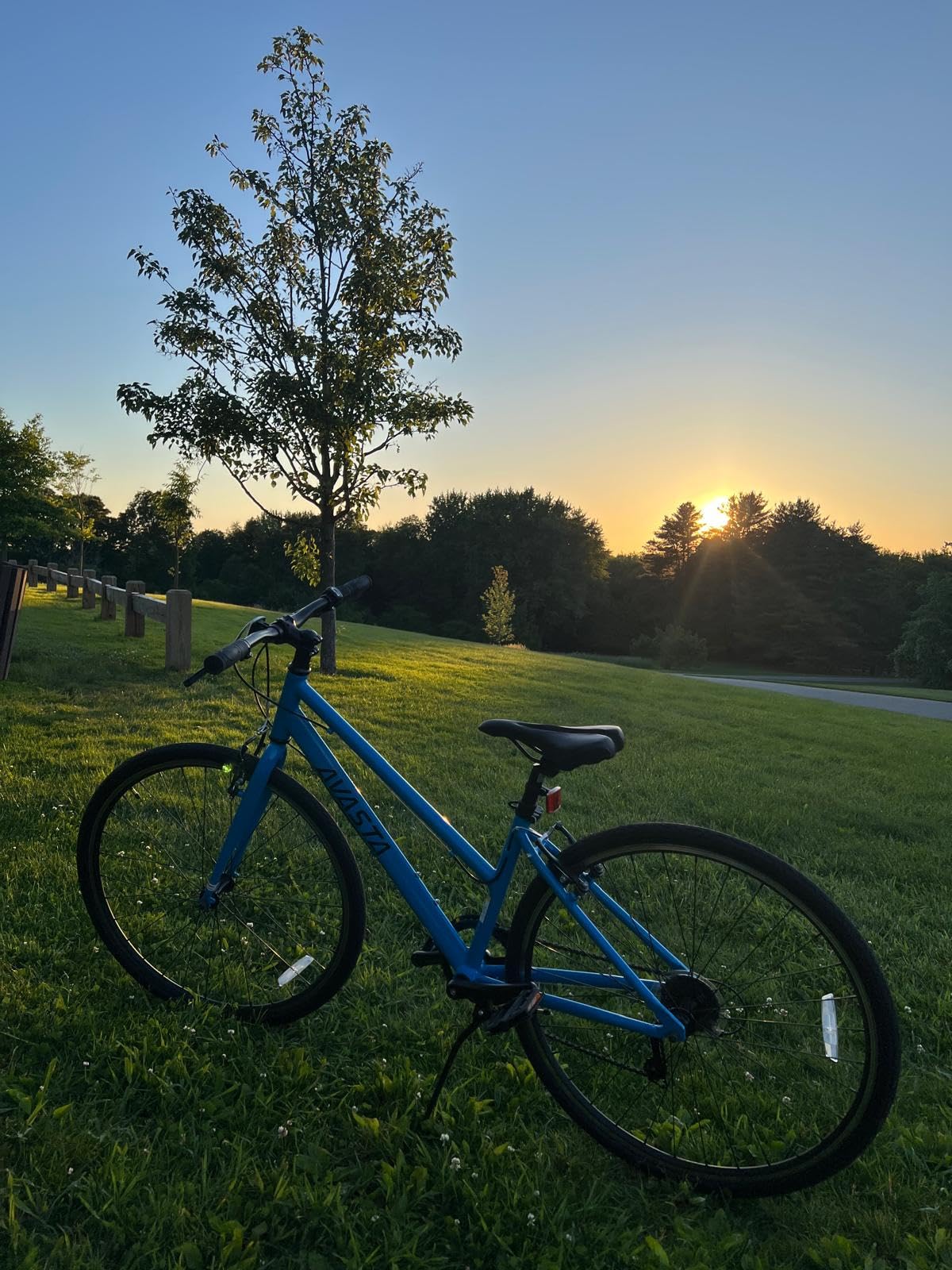 AVASTA Populus 700C Road Bike for Women with Kickstand, 15-17 Inch Lightweight Step Through Aluminum Alloy Frame, 7-Speed Drivetrain, Multiple Colors customer photo 1