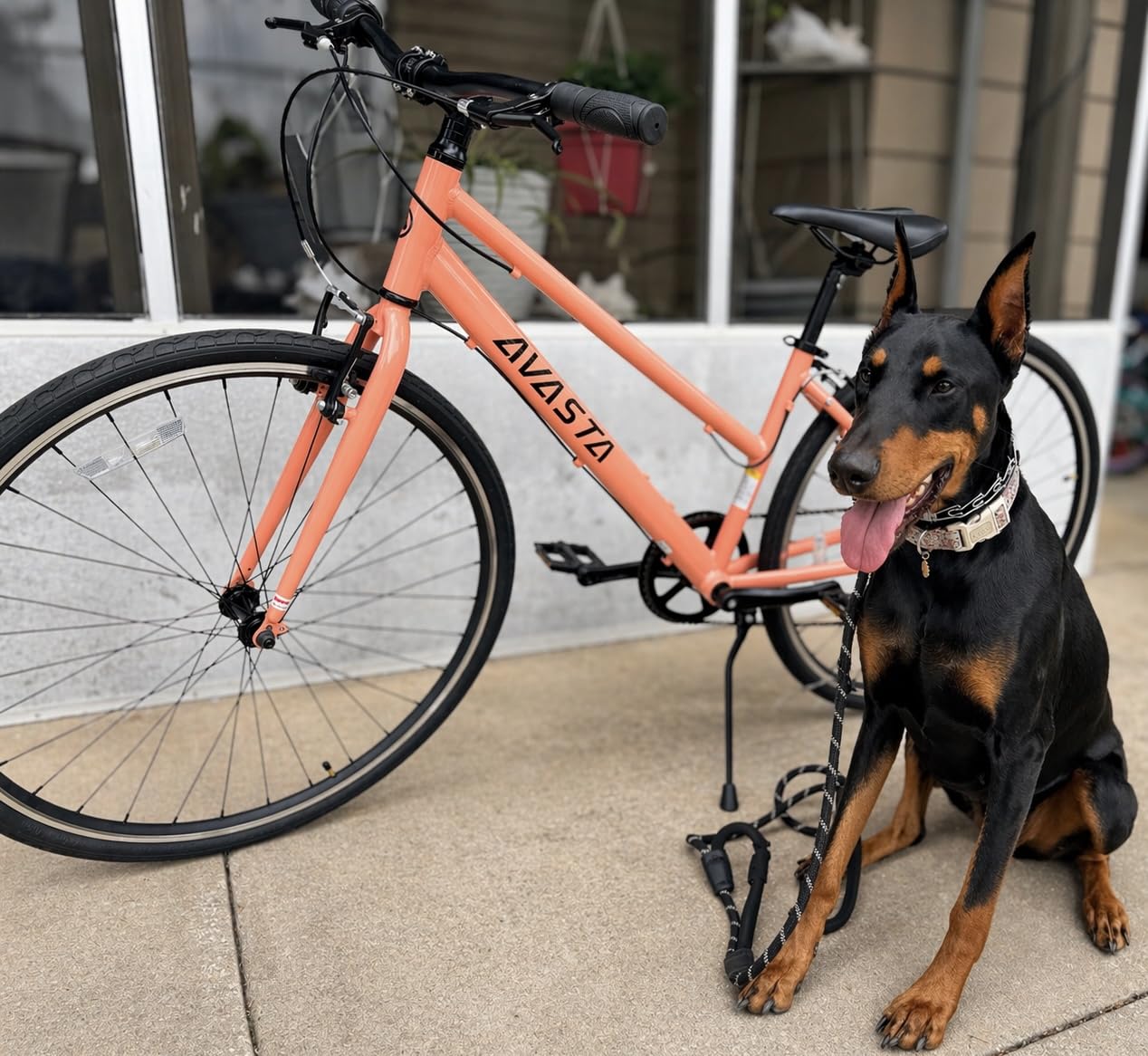 AVASTA Populus 700C Road Bike for Women with Kickstand, 15-17 Inch Lightweight Step Through Aluminum Alloy Frame, 7-Speed Drivetrain, Multiple Colors customer photo 2