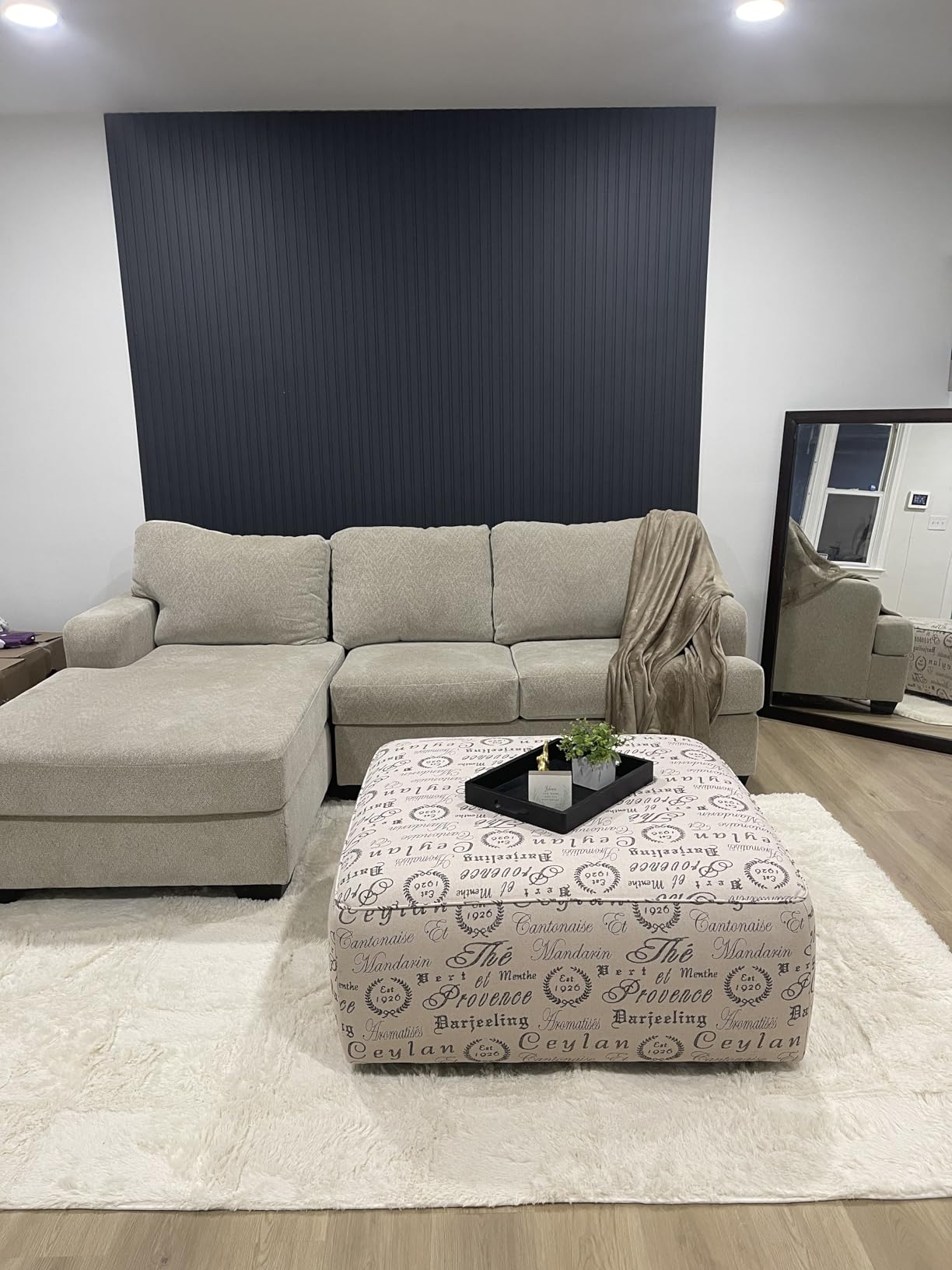 Ophanie 8x10 Area Rugs for Living Room, Washable Non-Slip Fluffy Soft Large Shag Bedroom Carpet, Ivory Big Indoor Nursery Rug, Carpets for Boy and Girls Room Dorm Home Decor Aesthetic customer photo 2