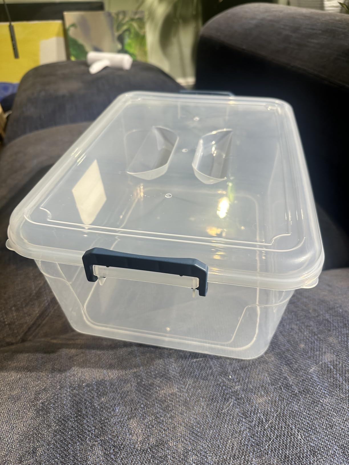 Tribello Plastic Storage Bins with Lids, Clear Stackable Storage Containers - 16 Qt - 2 Pack customer photo 1