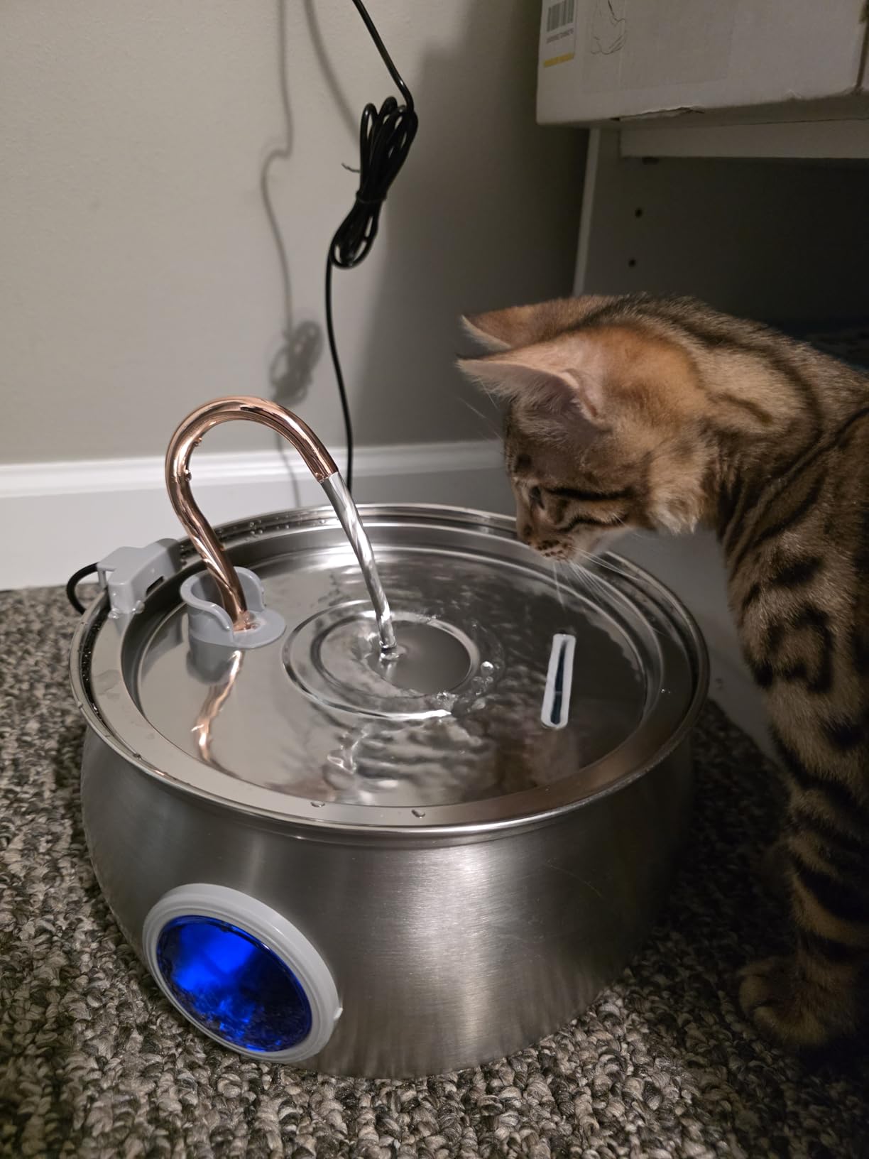 Tomxcute Cat Water Fountain - 4.0L/135oz Gooseneck Copper Stainless Steel Cat Water Fountains for Cats Indoor - Kitty Cat Fountains for Drinking Spout - Comes with 3 Replacement Filters customer photo 1