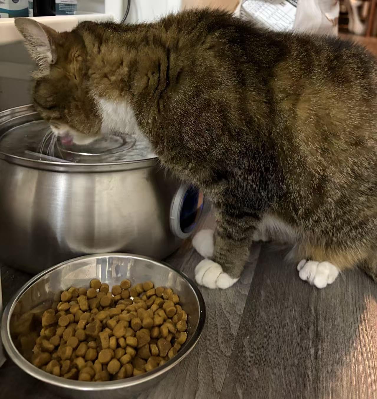 Tomxcute Cat Water Fountain - 4.0L/135oz Gooseneck Copper Stainless Steel Cat Water Fountains for Cats Indoor - Kitty Cat Fountains for Drinking Spout - Comes with 3 Replacement Filters customer photo 2