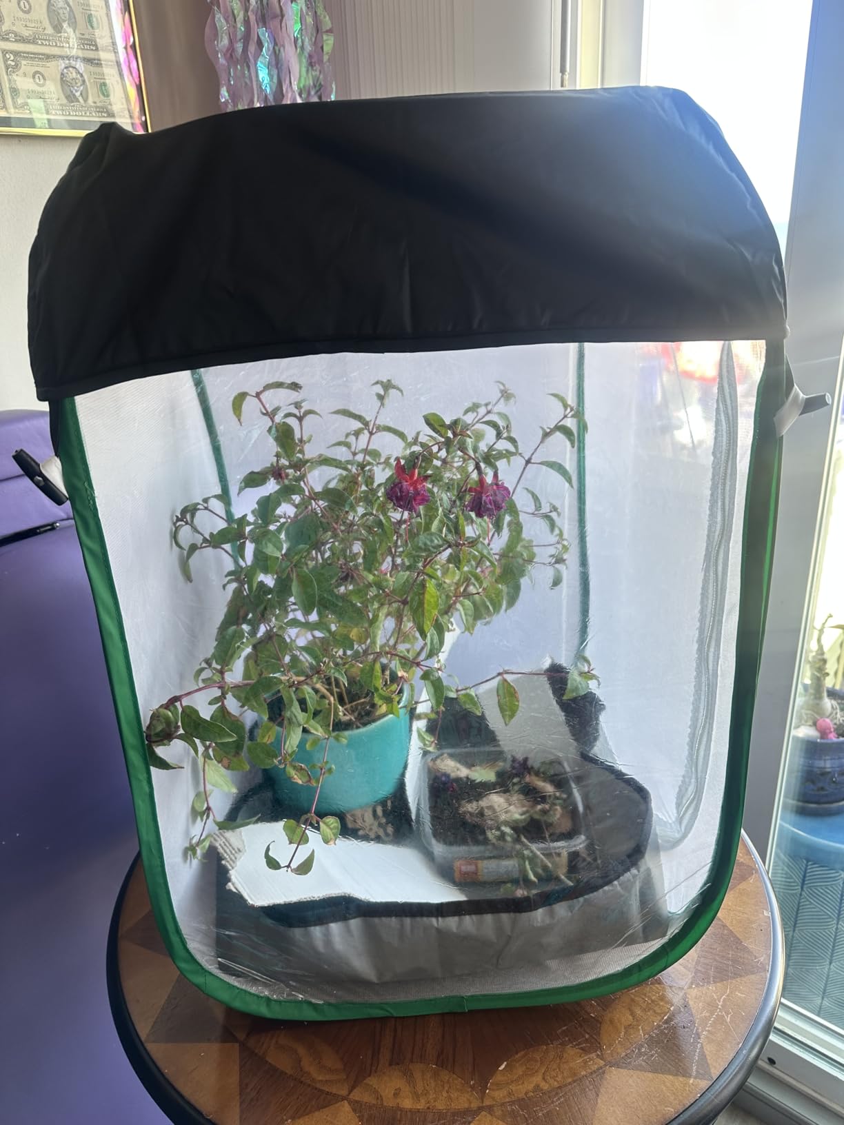 Butterfly Habitat Cage 15.7