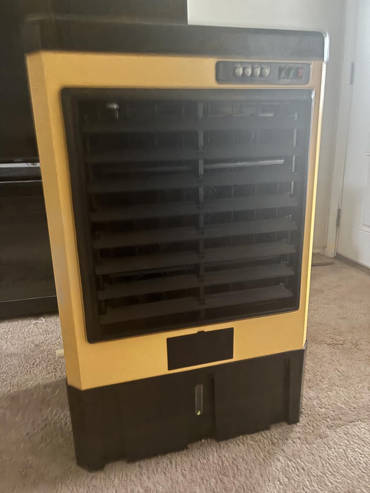 AKIRES 6500CFM Swamp Coolers, Portable Evaporative Air Cooler for 1600 Sq.ft of Space, with Continuous Auto Fill, 19-Gal Water Tank, 120°Oscillation, 5 Ice Packs, Cooling Fan for Outdoor, Indoor Use(48IN) customer photo 2