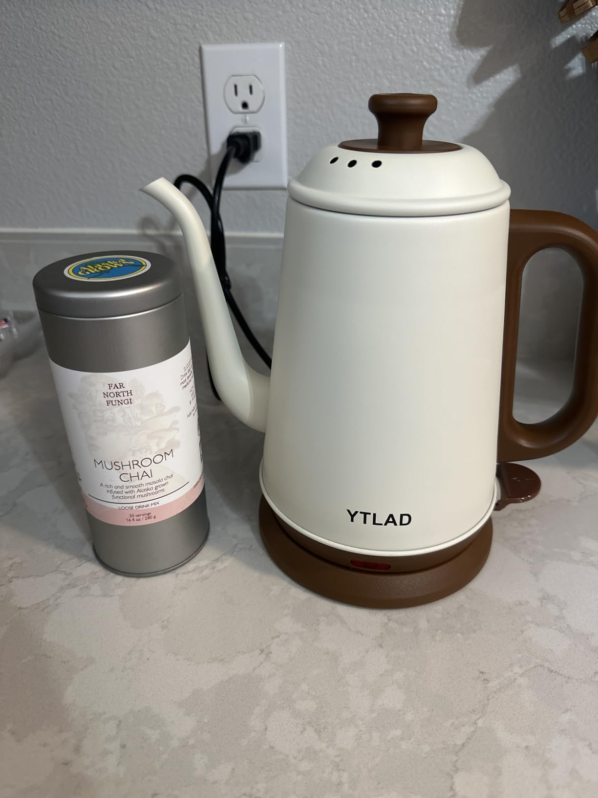Gooseneck Electric Kettle 1L, 1000W Fast Boiling for Pour-Over Coffee & Tea, 304 Stainless Steel BPA-Free, Precise Flow Spout, Auto Shut-Off & Boil-Dry Protection, Retro Style (White) customer photo 1