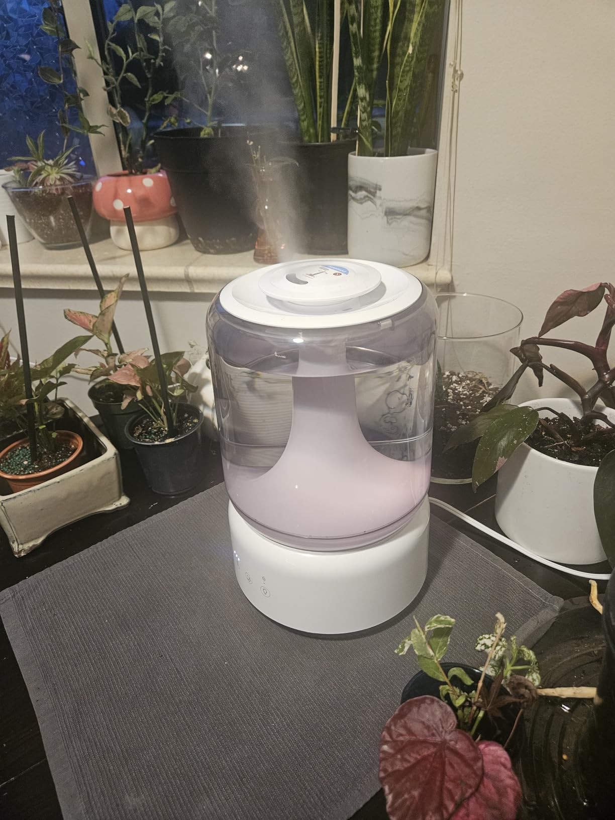 LEVOIT Humidifiers for Bedroom, 4.2L Top Fill for Large Room with 42H Runtime, Dishwasher Safe Design Easy to Clean, 21dB Quiet Cool Mist for Baby, Plants, Night Light, Essential Oil Diffuser, White customer photo 1