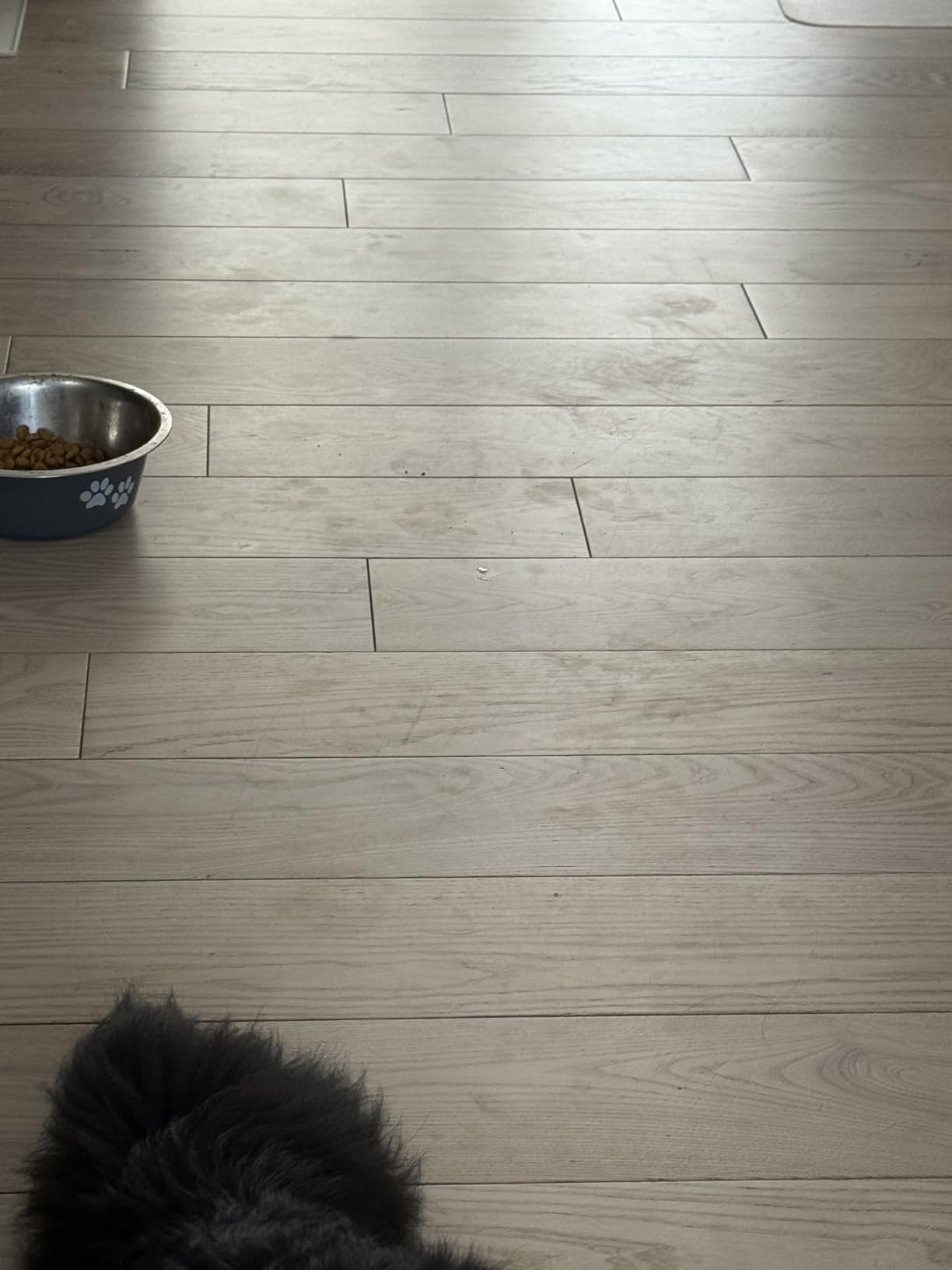Roomba 705X Robot Vacuum & Mop Combo, 175x More Suction, Extending Self-Cleaning Roller Mop, Multifunction Dock, 75 Day AutoEmpty, Hot Wash/Dry, AI Smart Obstacle Avoidance, Ideal for Pet Hair customer photo 2