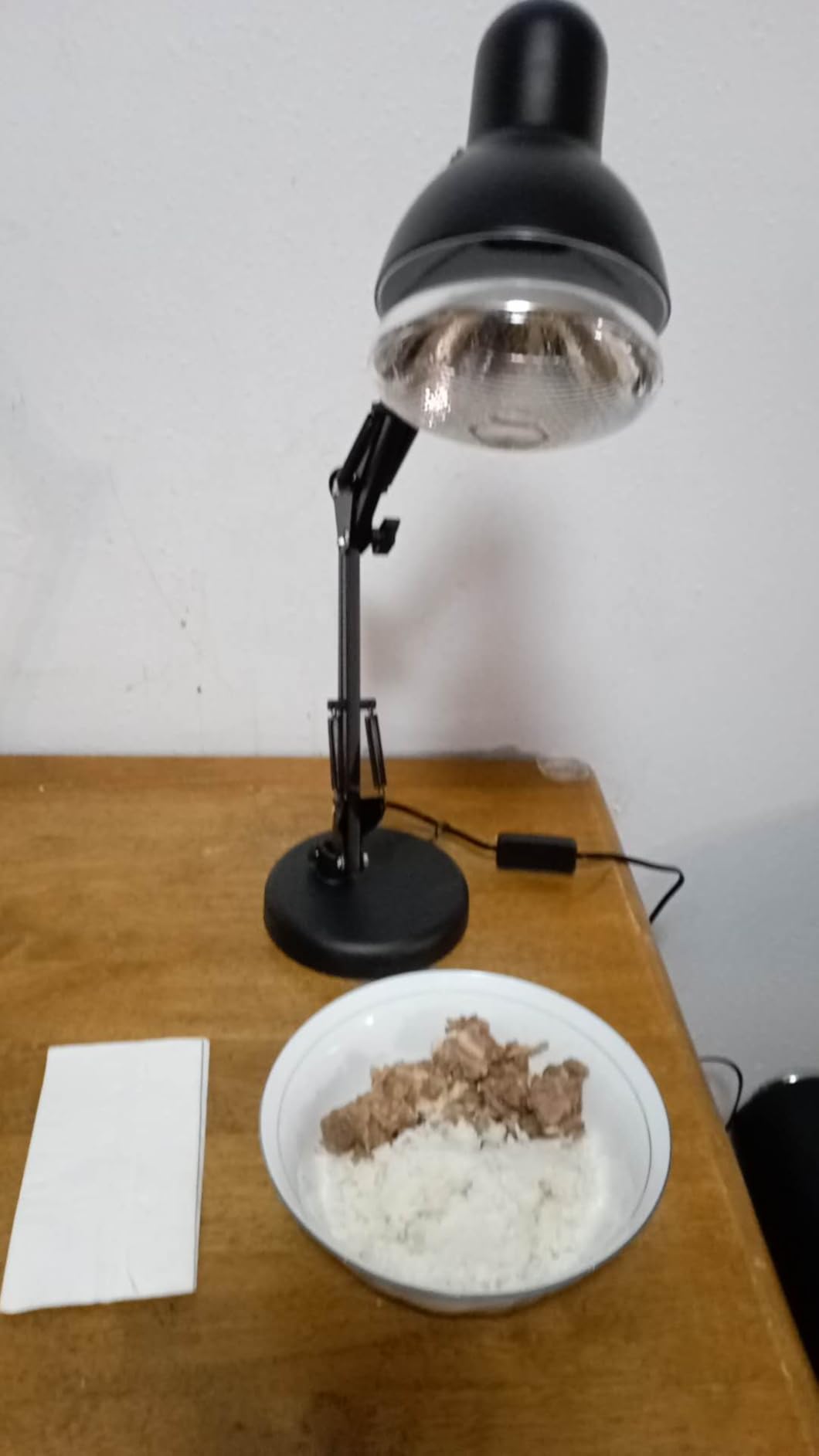Portable Food Heat Lamp - [Foldable Design] [3S Quickly Heating] Food Warmer Light, Commercial Heat Lamp for Food, Catering Warming Lamp for Parties, Buffet, Pizza, Chocolate (Black) customer photo 2