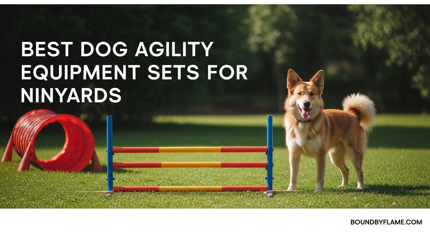 Best Dog Agility Equipment Sets for Backyards