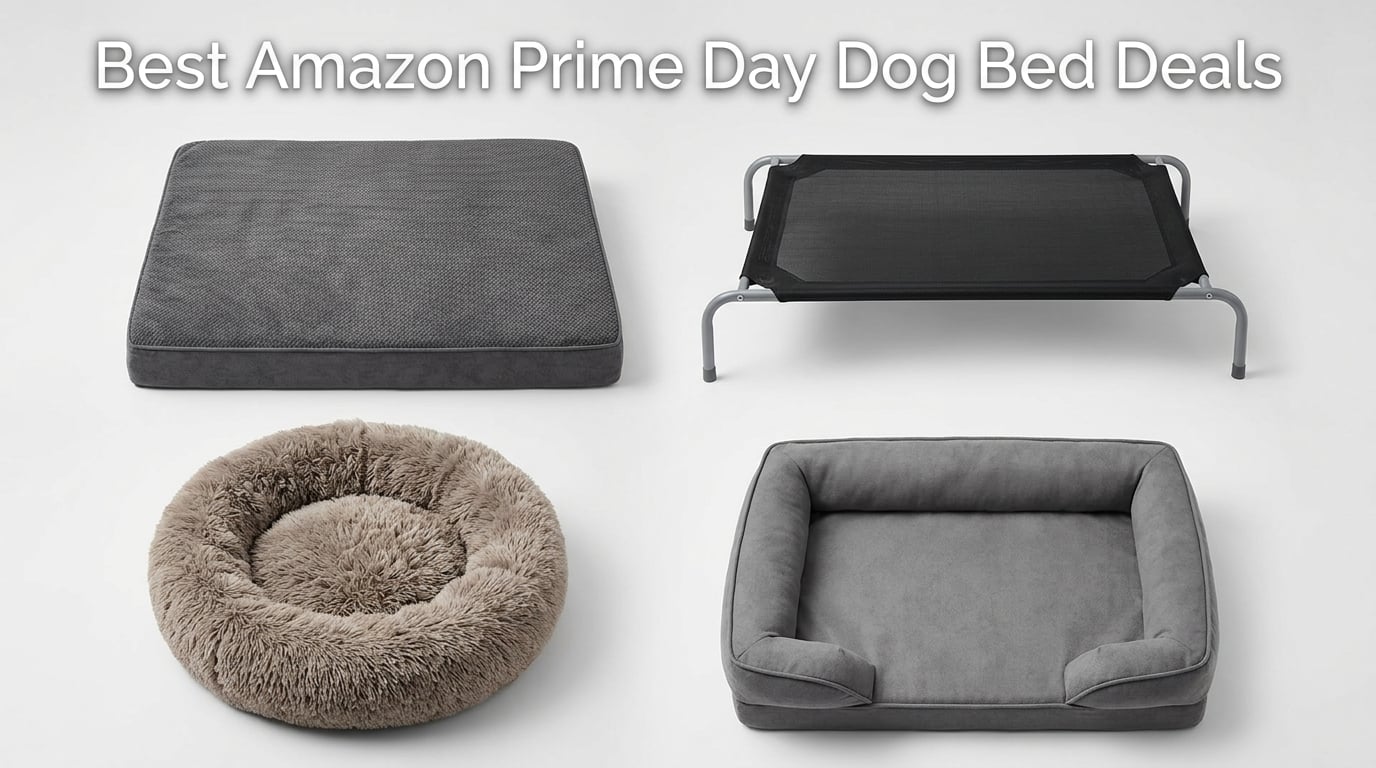 Best Amazon Prime Day Dog Bed Deals 2026
