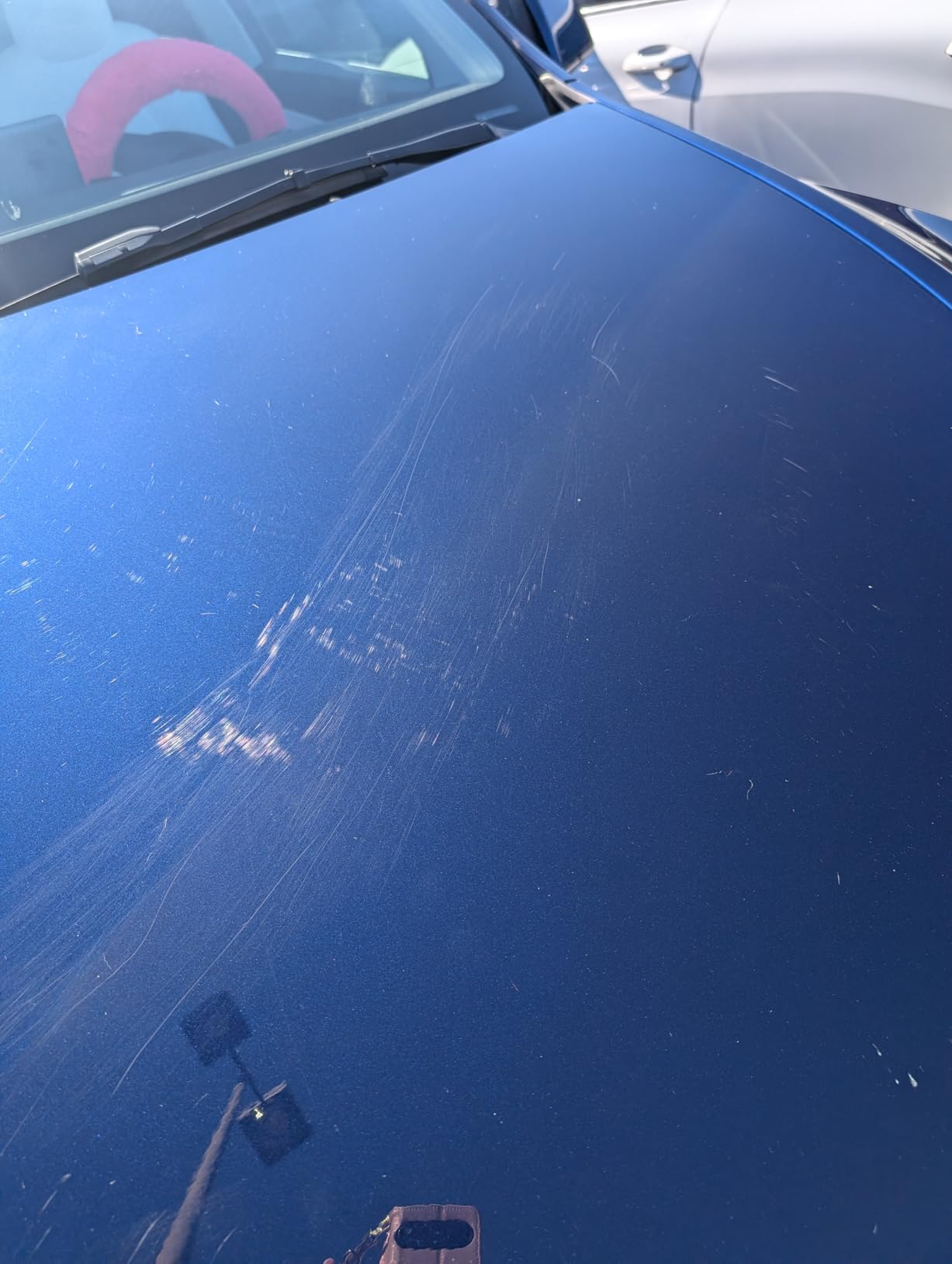 Meguiar's Gold Class Carnauba Plus Premium Liquid Wax Kit, Car Detailing Kit with a Pure Carnauba Wax Blend and a Foam Applicator Pad for Keeping Glossy Paint Protected Like a Pro, 16 Oz Bottle customer photo 2