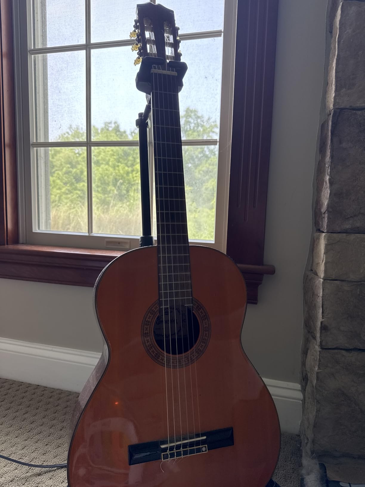 D'Addario Pro Arte Nylon Classical Guitar Strings, EJ45, Normal Tension customer photo 1