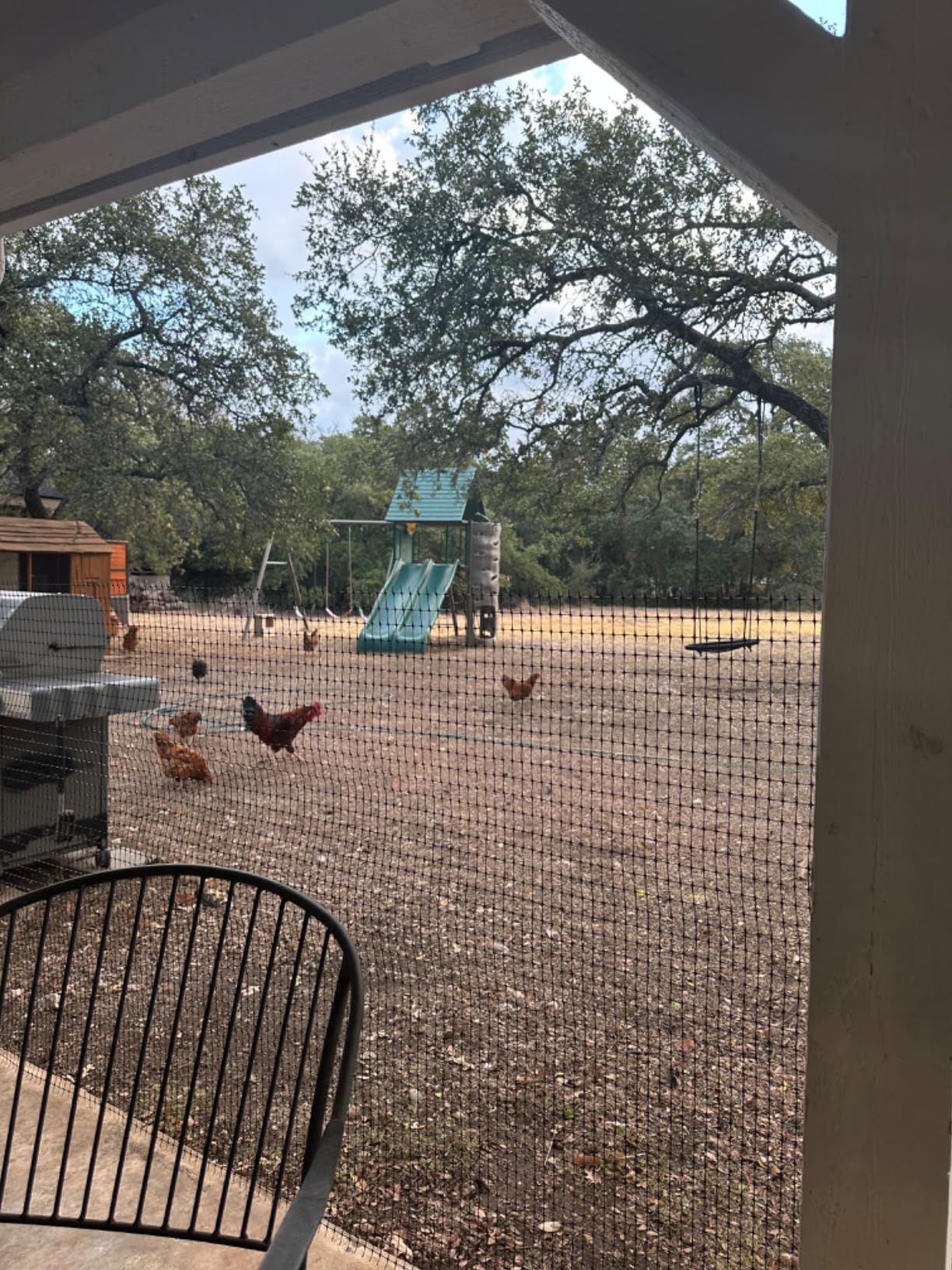 Tenax Multi-Purpose Net - Black Plastic Netting, Versatile Garden Fence - 3' x 50' - Polypropylene customer photo 1
