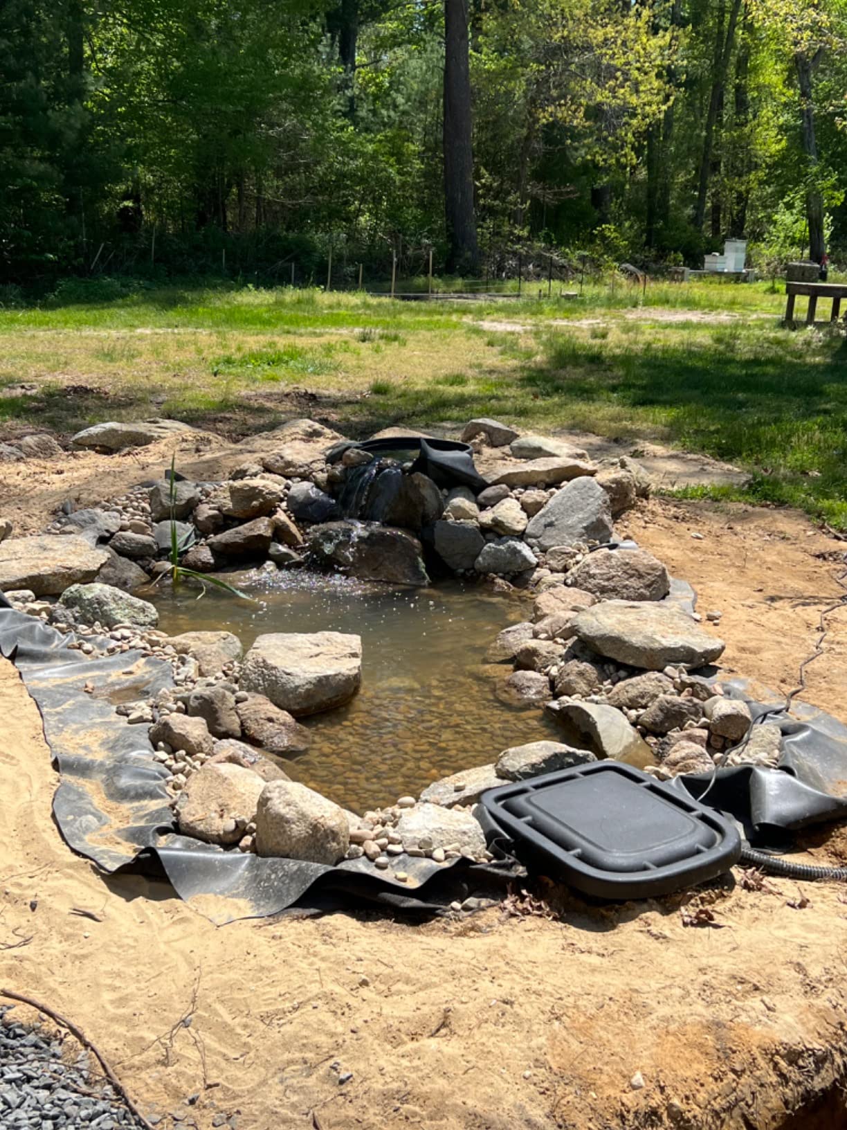 Aquascape DIY Backyard Pond Kit 8 x 11 feet - Complete Water Garden Ecosystem with Pump, Skimmer, and Filter, 99765 customer photo 2