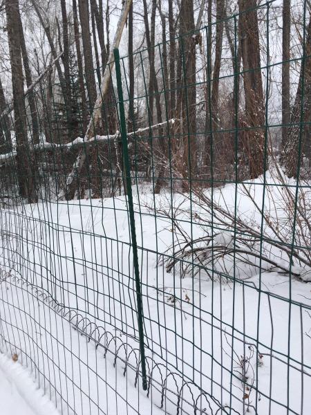 YARDGARD 2 in. x 3 in. Mesh Welded Wire Fence Roll, 36 in. x 50 ft., 16-Gauge Green Vinyl Coated Galvanized Steel Fence for Animal Enclosures, Garden Protection and Property Boundaries customer photo 1
