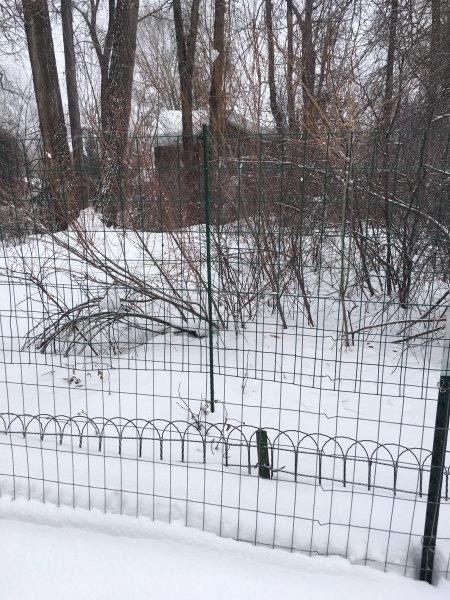 YARDGARD 2 in. x 3 in. Mesh Welded Wire Fence Roll, 36 in. x 50 ft., 16-Gauge Green Vinyl Coated Galvanized Steel Fence for Animal Enclosures, Garden Protection and Property Boundaries customer photo 2