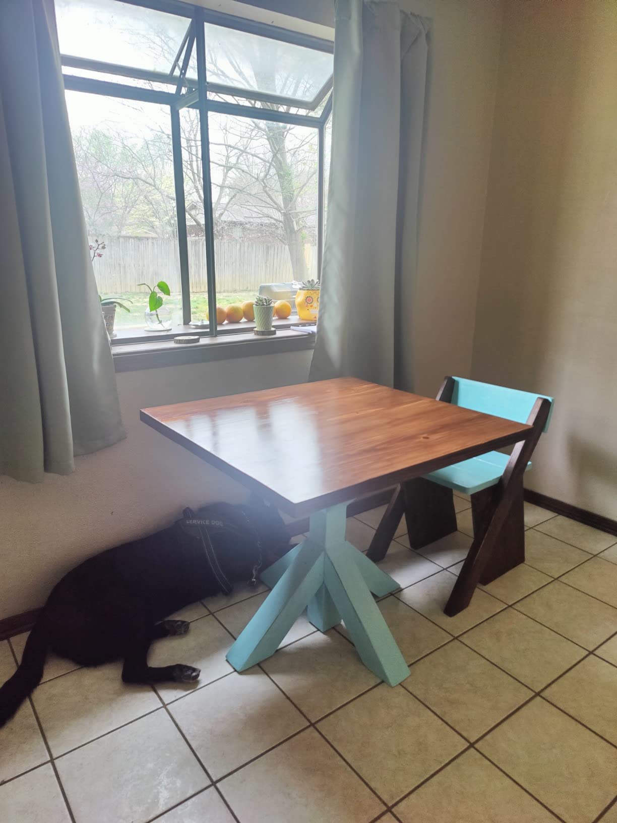 SamaN Interior Water Based Wood Stain - Natural Stain for Furniture, Moldings, Wood Paneling, Cabinets (Walnut TEW-109-12, 12 oz) customer photo 2