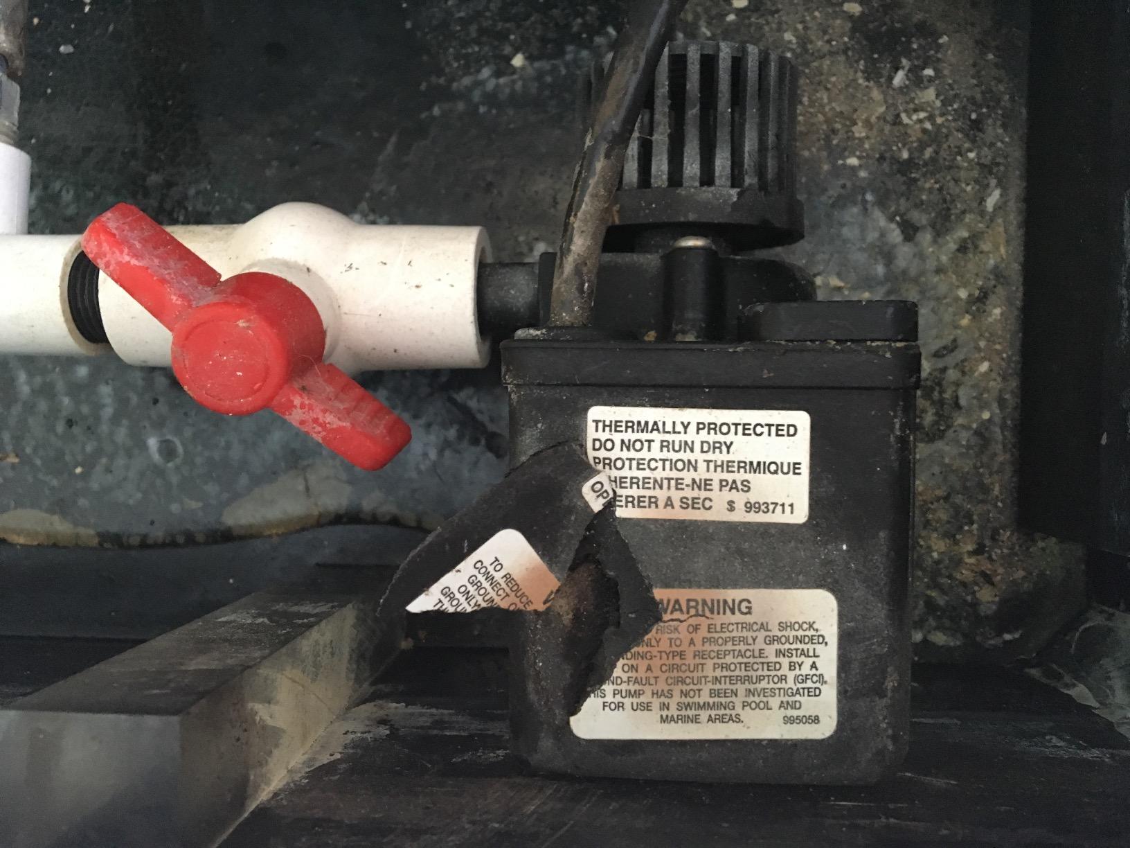 Little Giant PE-2.5F-PW, 115V, 475 GPH Small Submersible Pump, 15' Cord | 1/28 HP, For Fountains/ Small Ponds/ Hydroponics/ Recirculation, Epoxy-coated Aluminum, Manual (no switch), 566612 customer photo 2