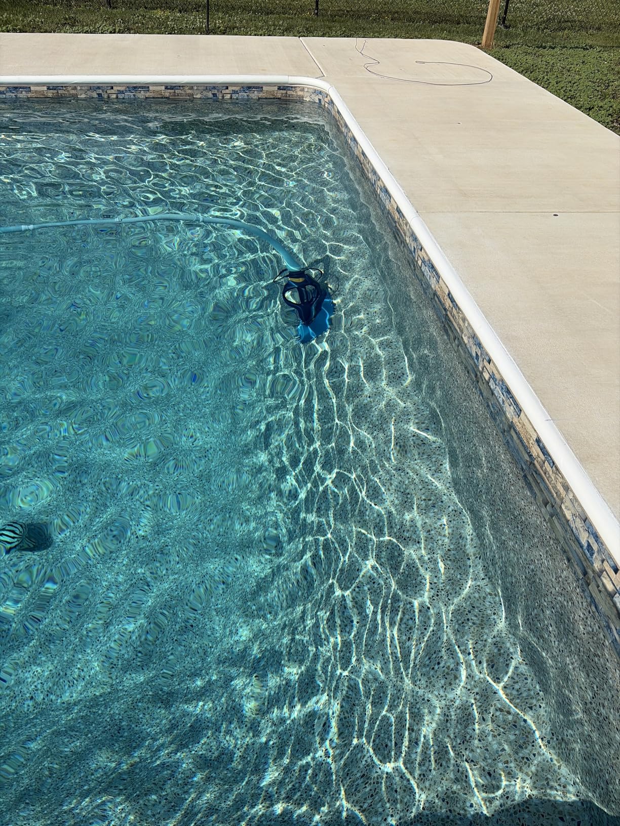 Zodiac G3 Suction-Side Inground Vacuum Pool Cleaner customer photo 1